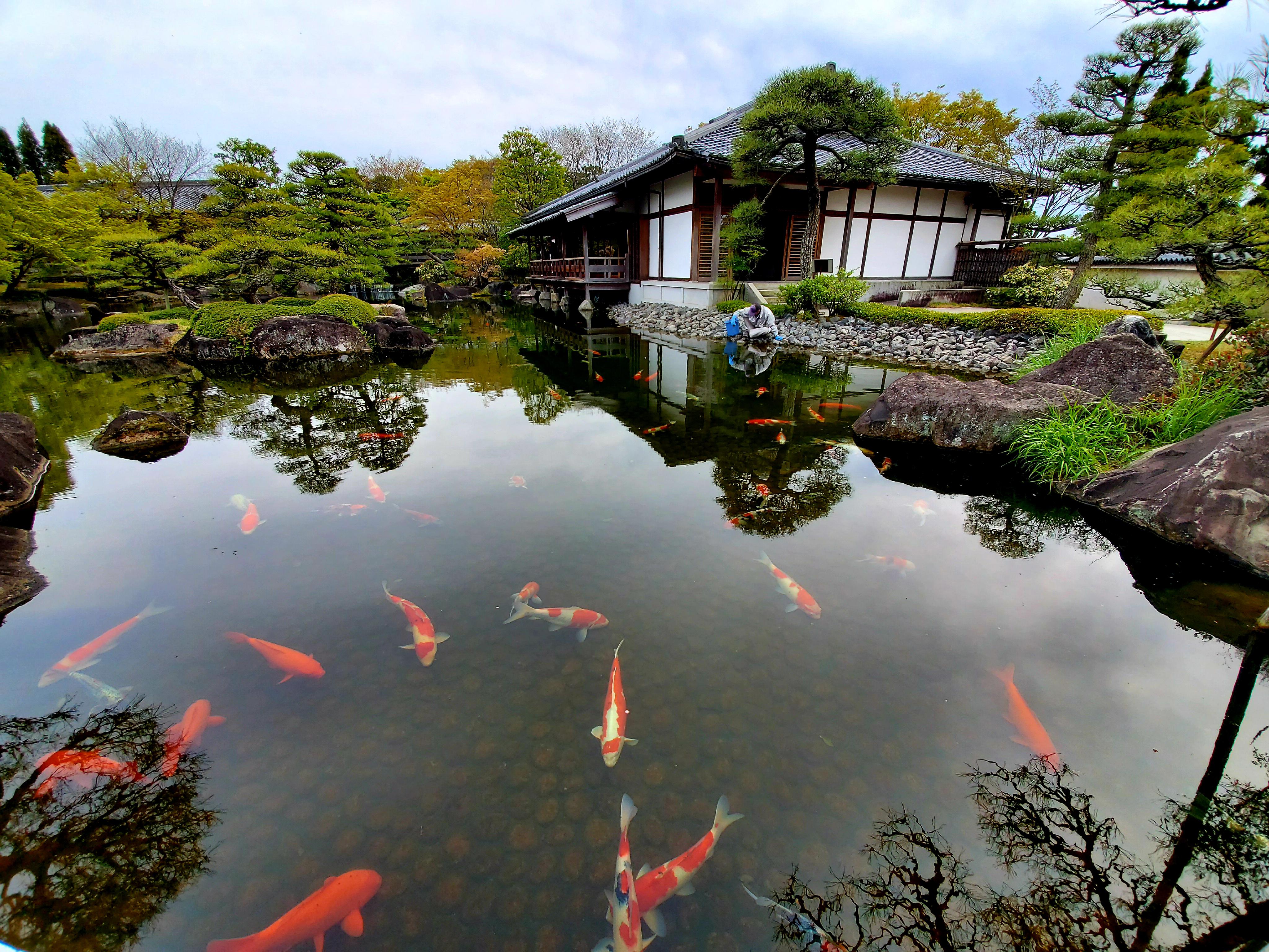 Kokoen garden in Himeji r/japanpics
