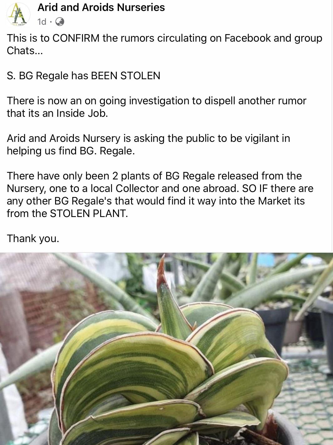 Most Expensive Plants In The Philippines Miin maginaciones