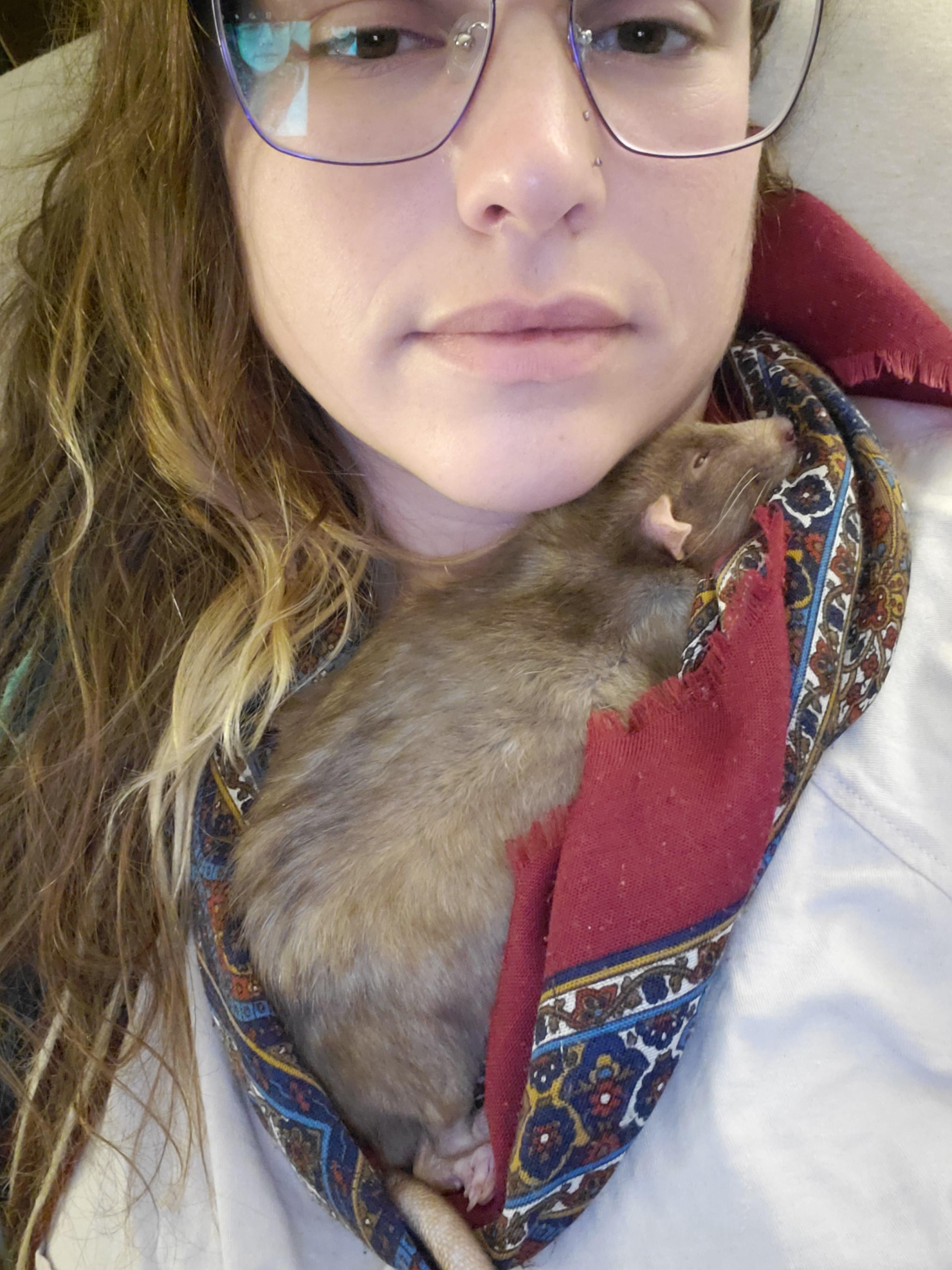 Does anyone else have rats with separation anxiety? His sickness flares