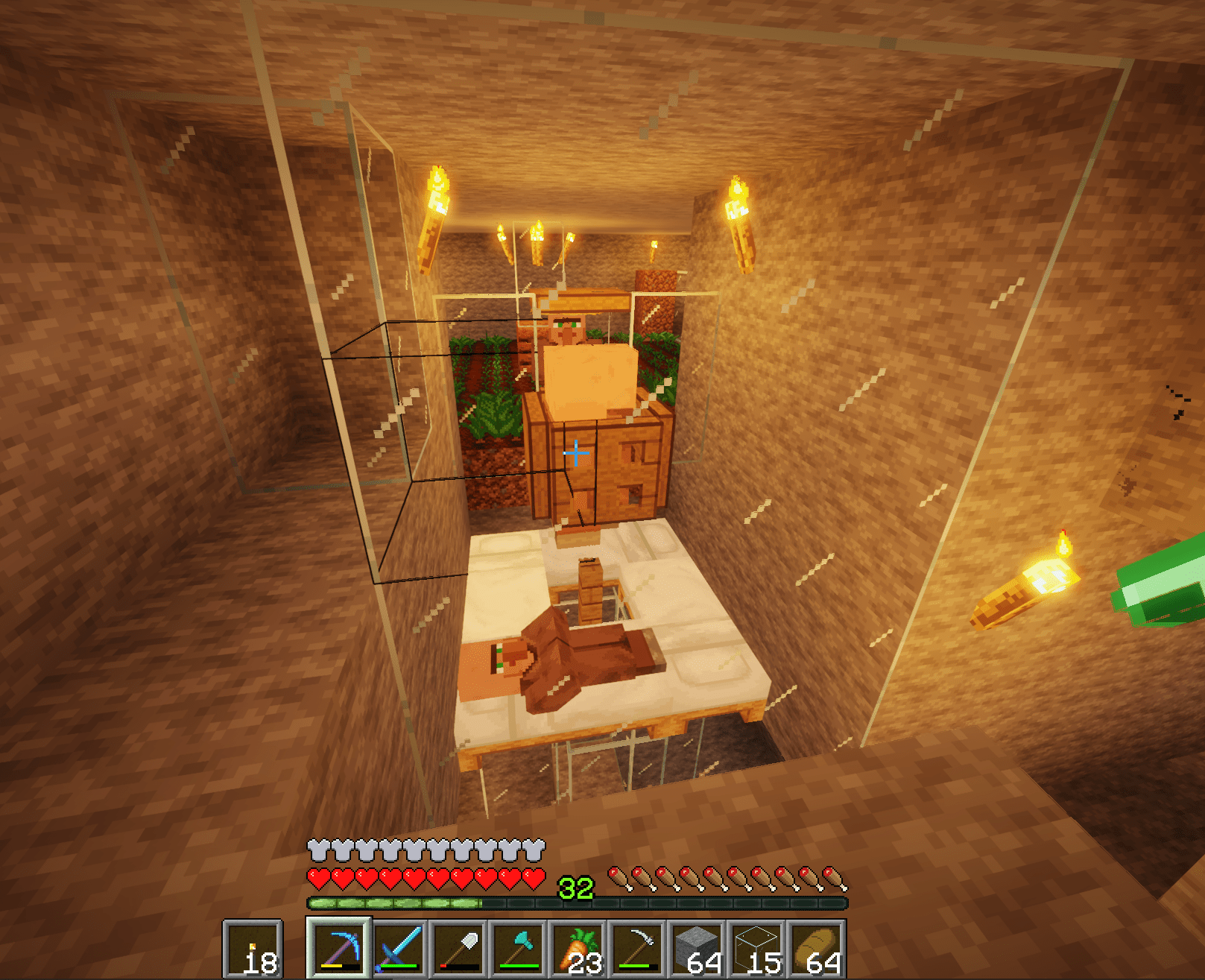 Can anyone tell me why only one villager is sleeping? r/Minecraft