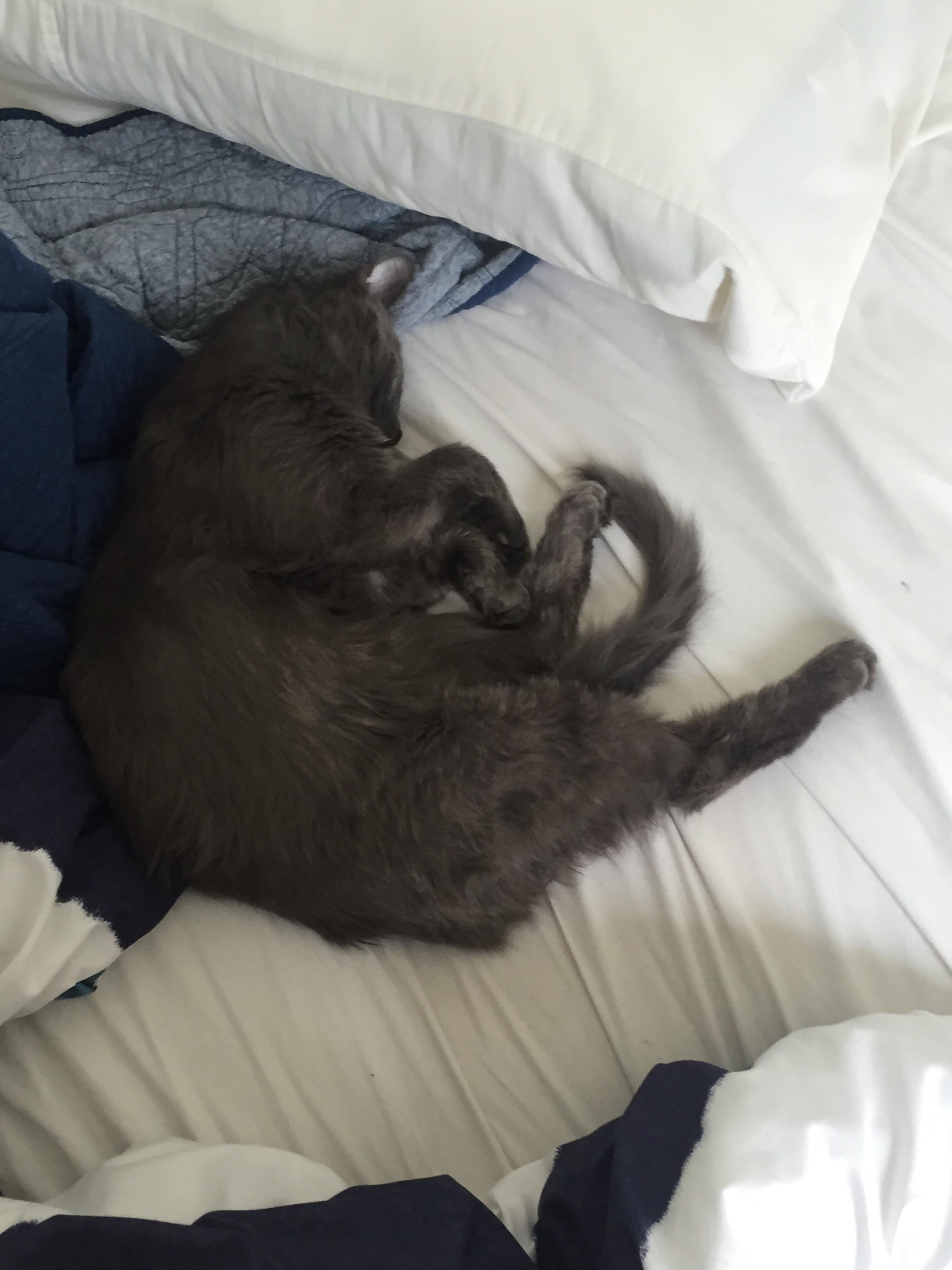 Hey this is my bed now r/Blessed_Images