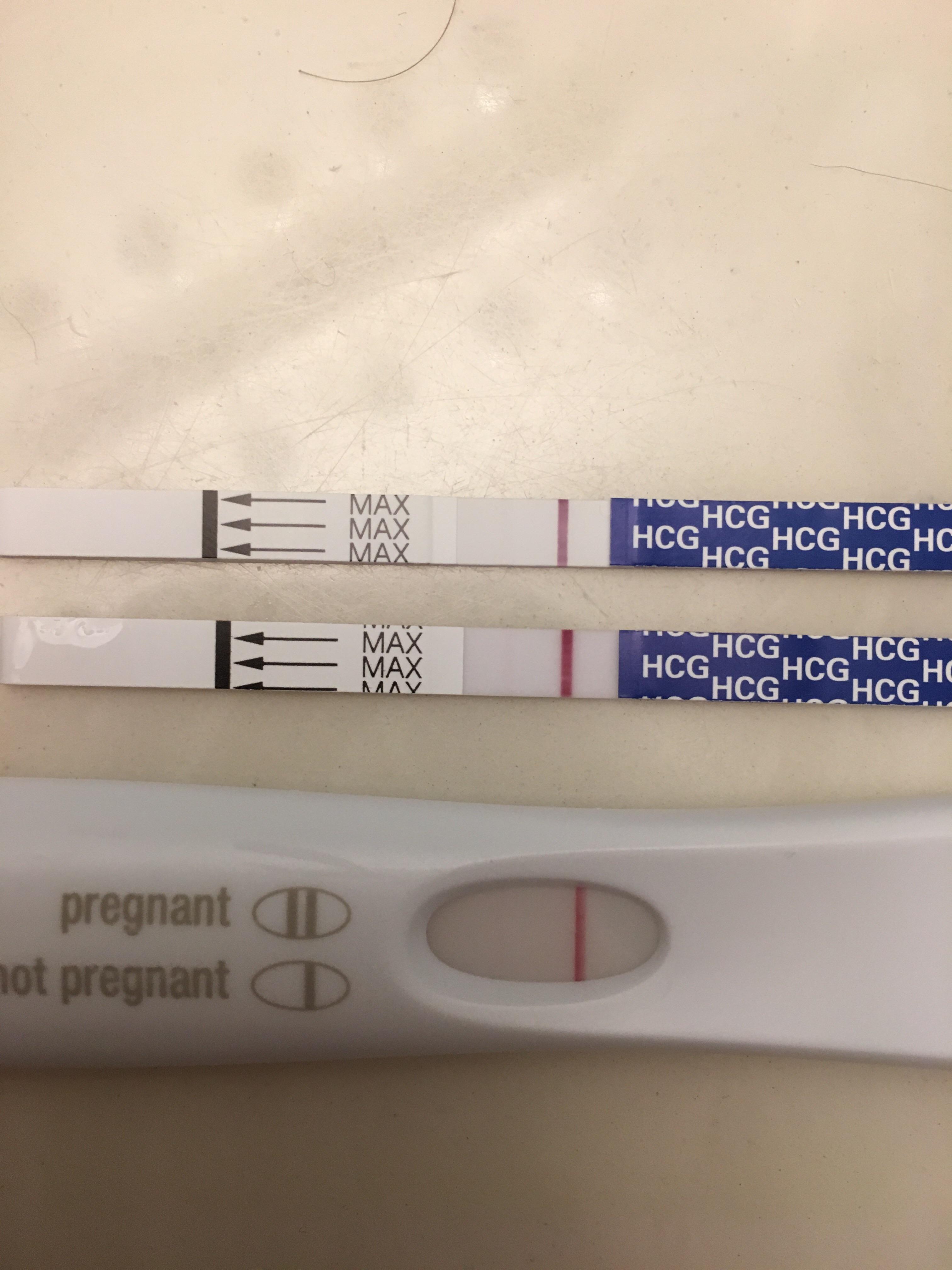Faint Line On Pregmate Pregnancy Test Captions More