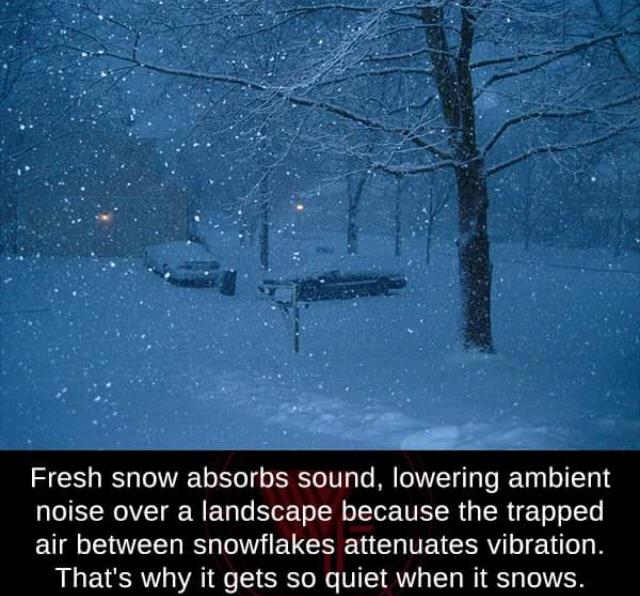 Why it gets quiet when it snows r/Damnthatsinteresting