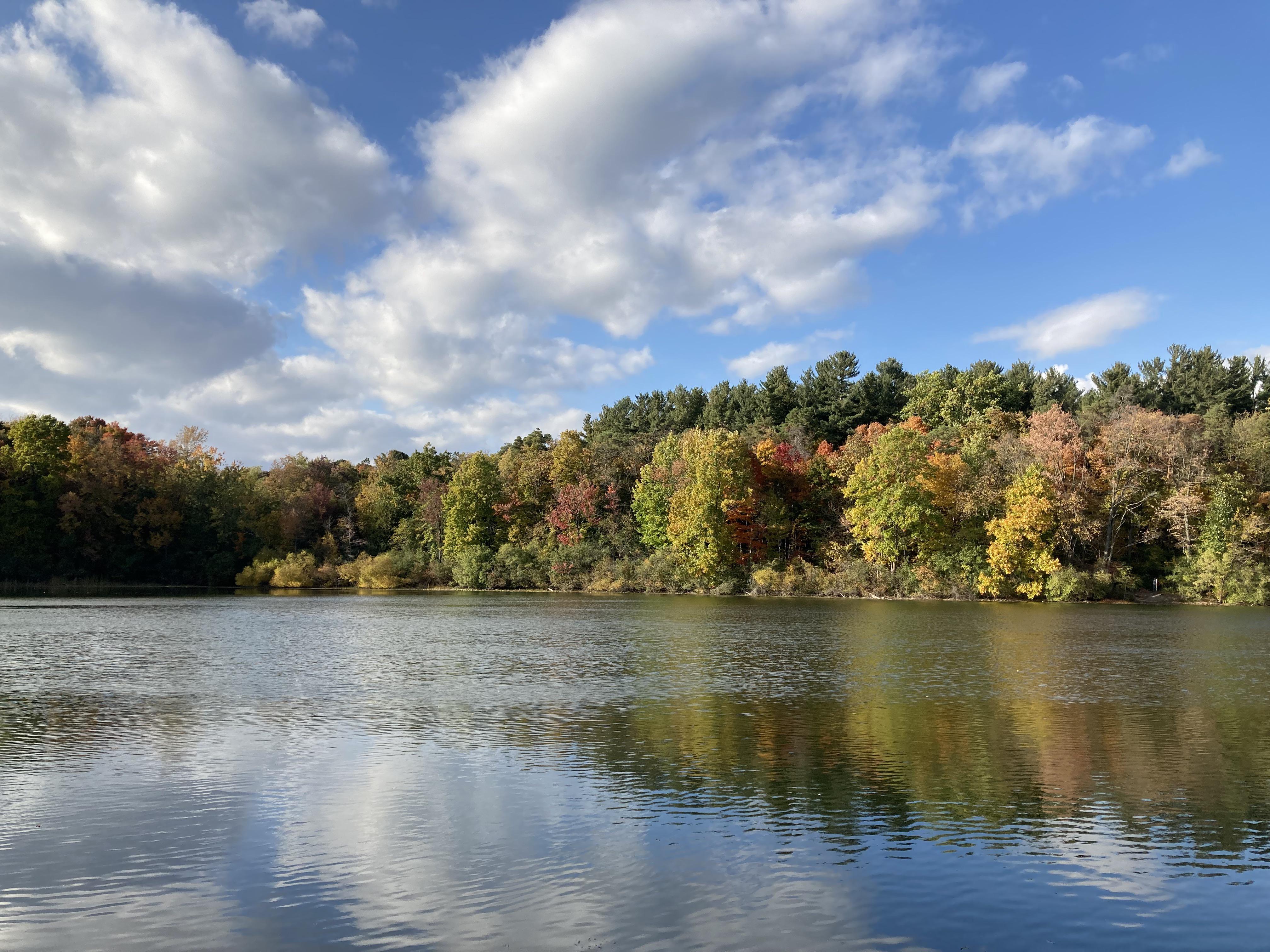 Saginaw Forest in Ann Arbor this past weekend. r/Michigan