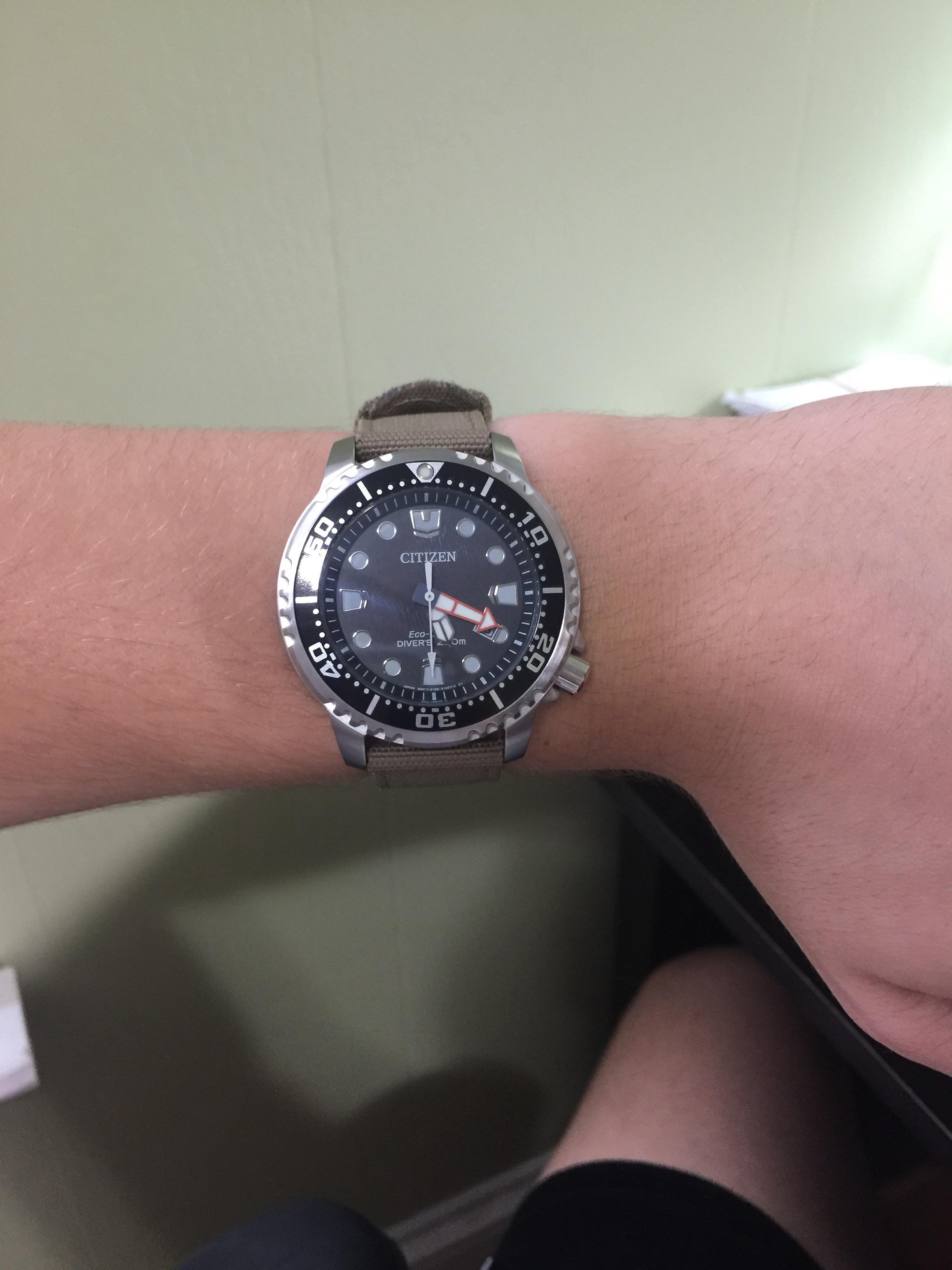 [Citizen Promaster Diver] Is the 42mm watch too big for my wrist? r/Watches