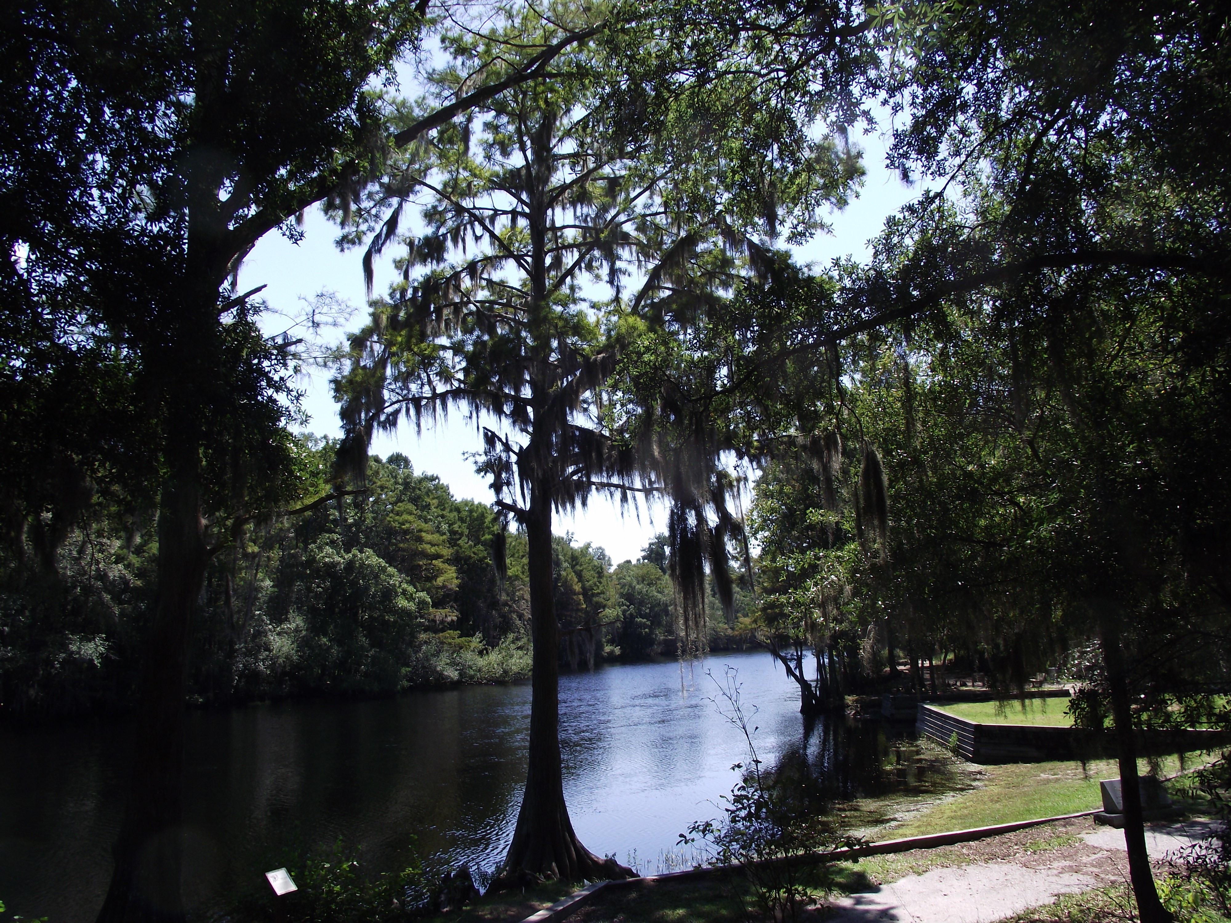 Lumber River State Park r/NorthCarolina