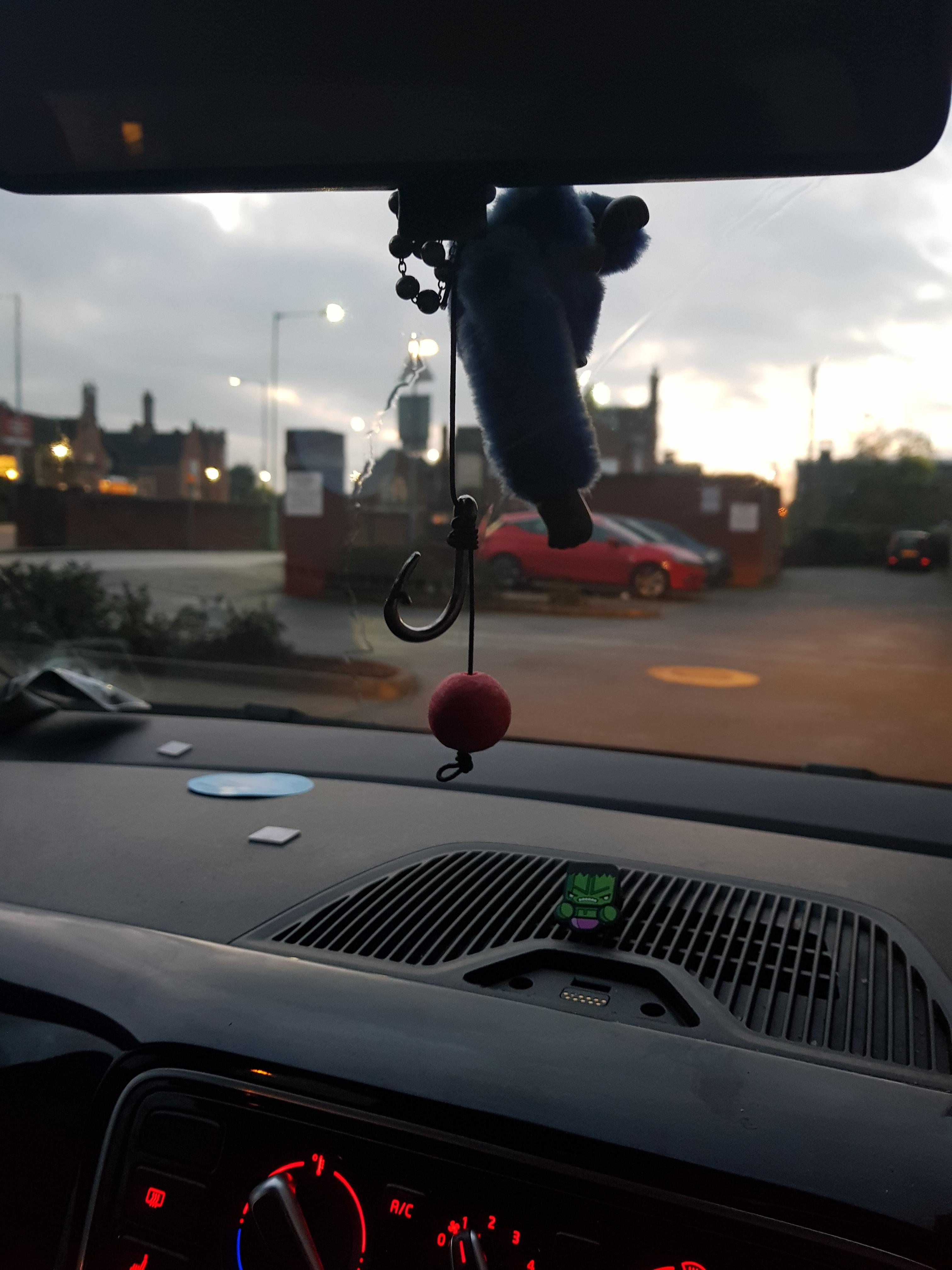 Best car air freshener ever! r/CarpFishing