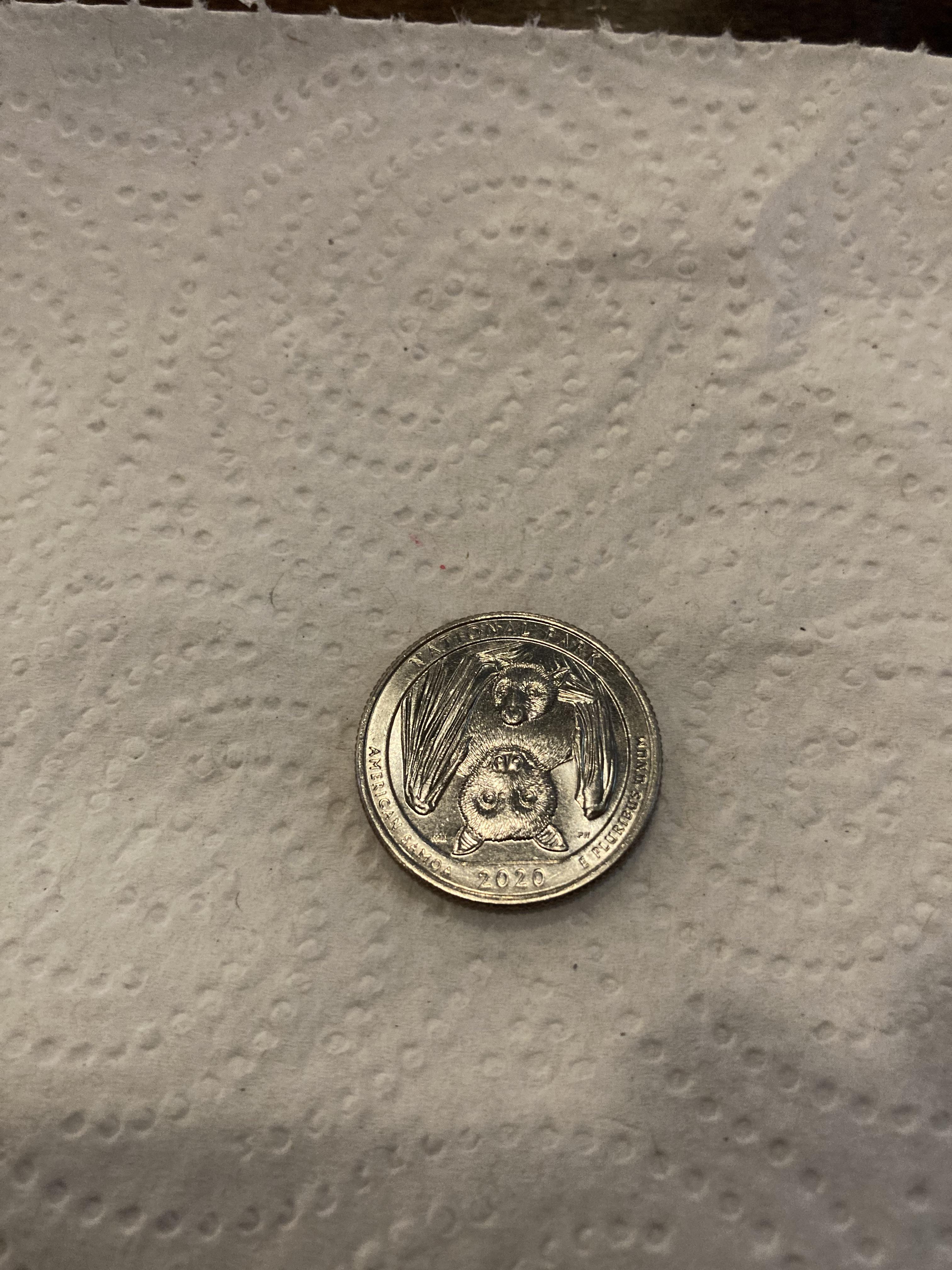 Found a 2020 national park fruit bat quarter at a restaurant and was