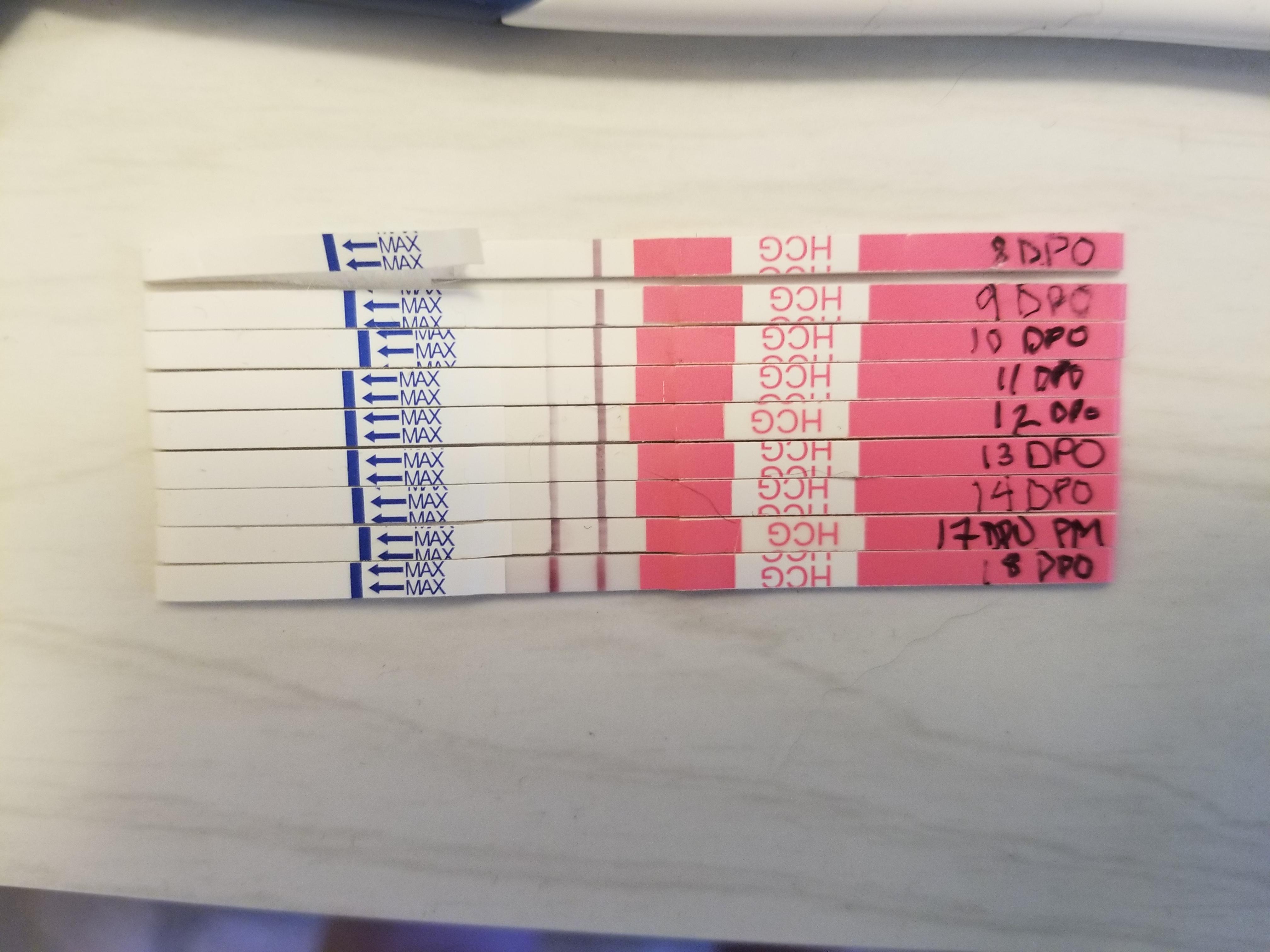 Clinical Guard HPT Progression / 814 DPO (+Bonus 18DPO!) TFABLinePorn