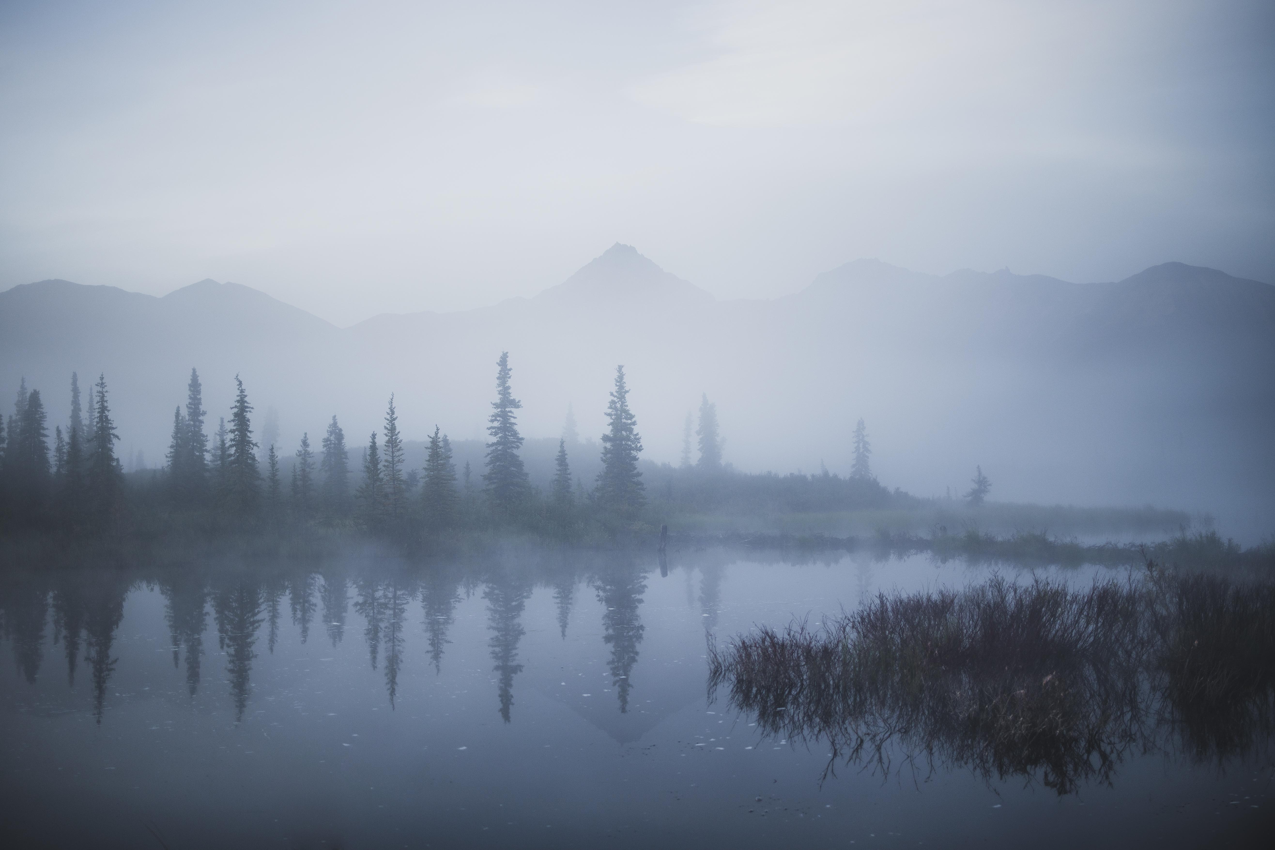 Foggy morning on the Denali Highway in Cantwell, Alaska. (5266 × 3511) (OC) r/EarthPorn
