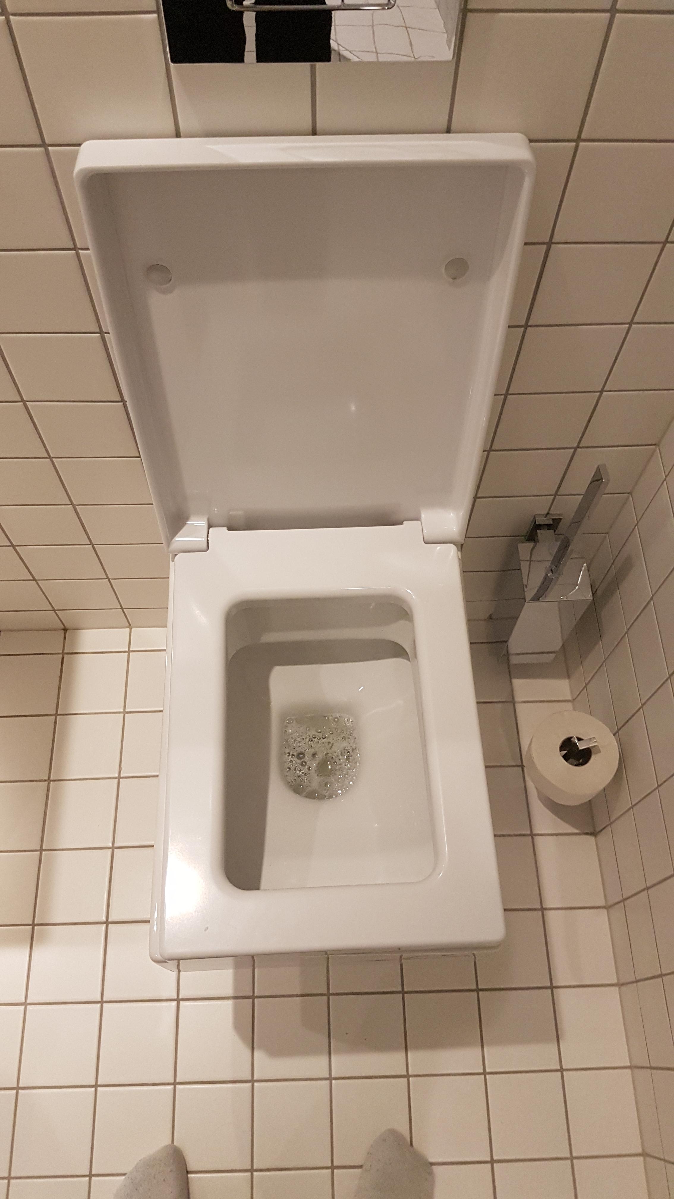 Worst toilet ever r/CrappyDesign