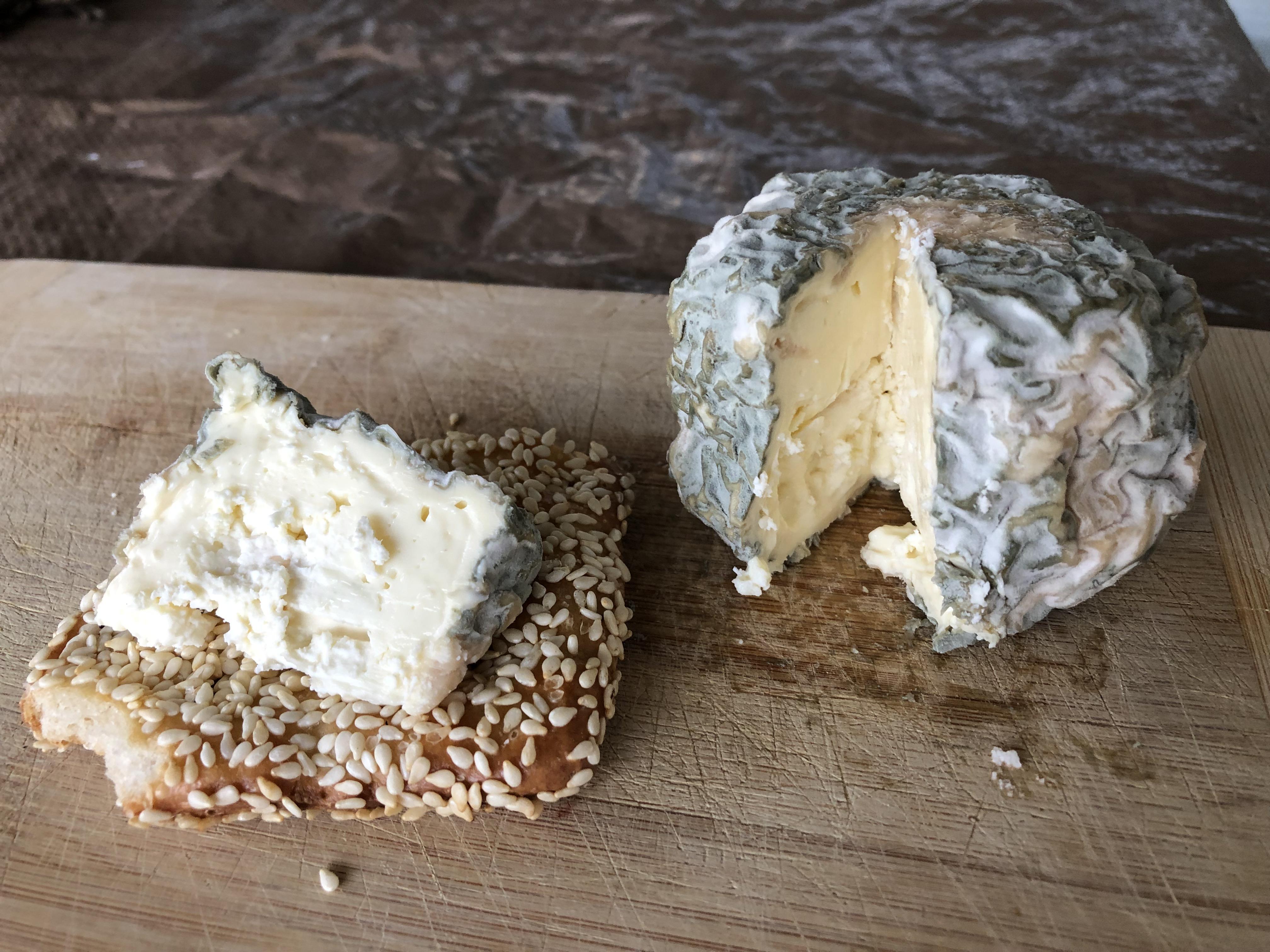 Yogurt cheese cultured with Penicillium roqueforti, aged 1 and 1/2