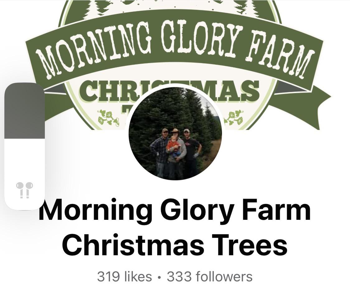 I was looking for a place to get a Christmas tree and look at what I