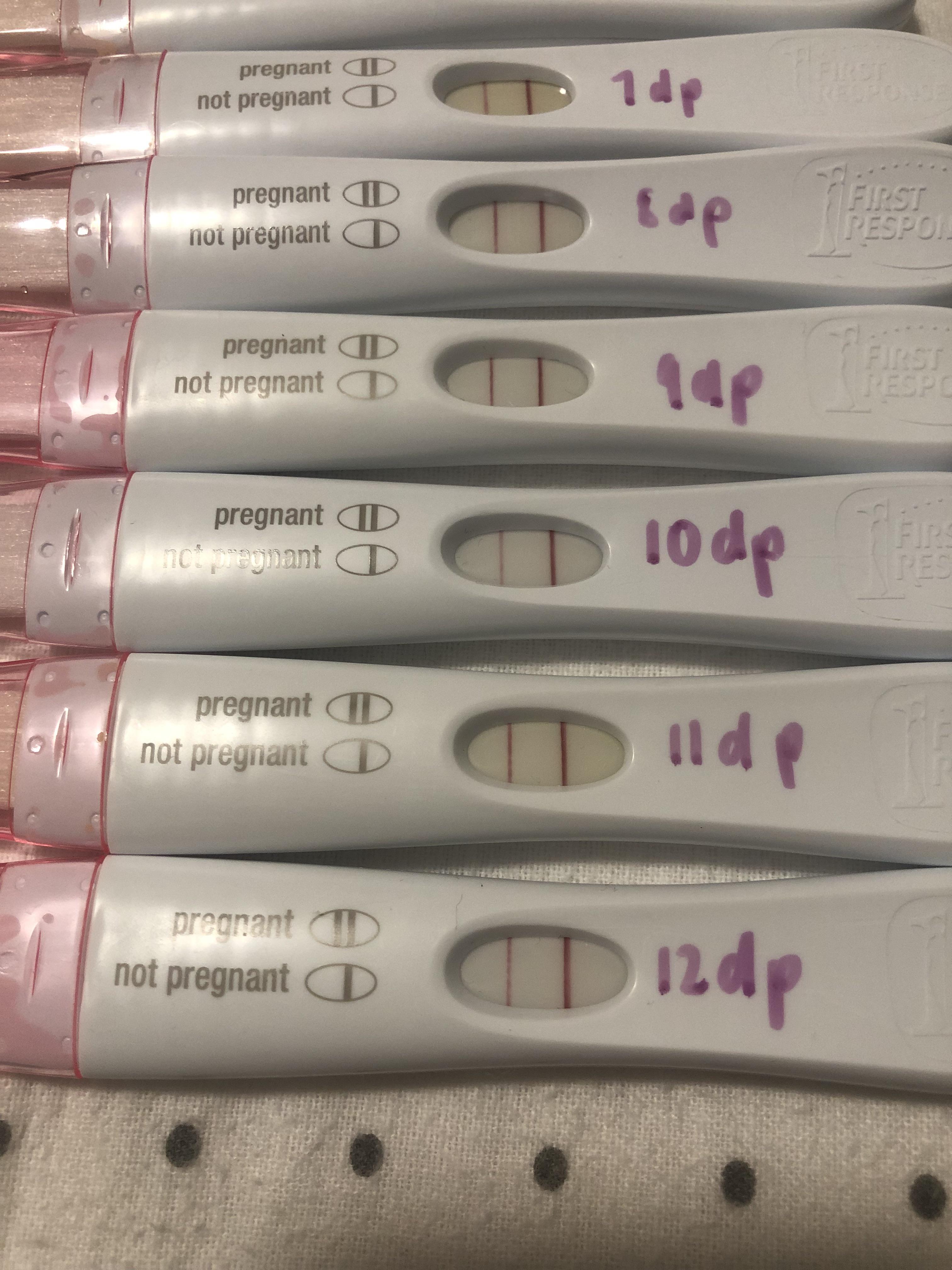 12dp5dt (17 days post ovulation)looking for success stories with no FRER progression. r