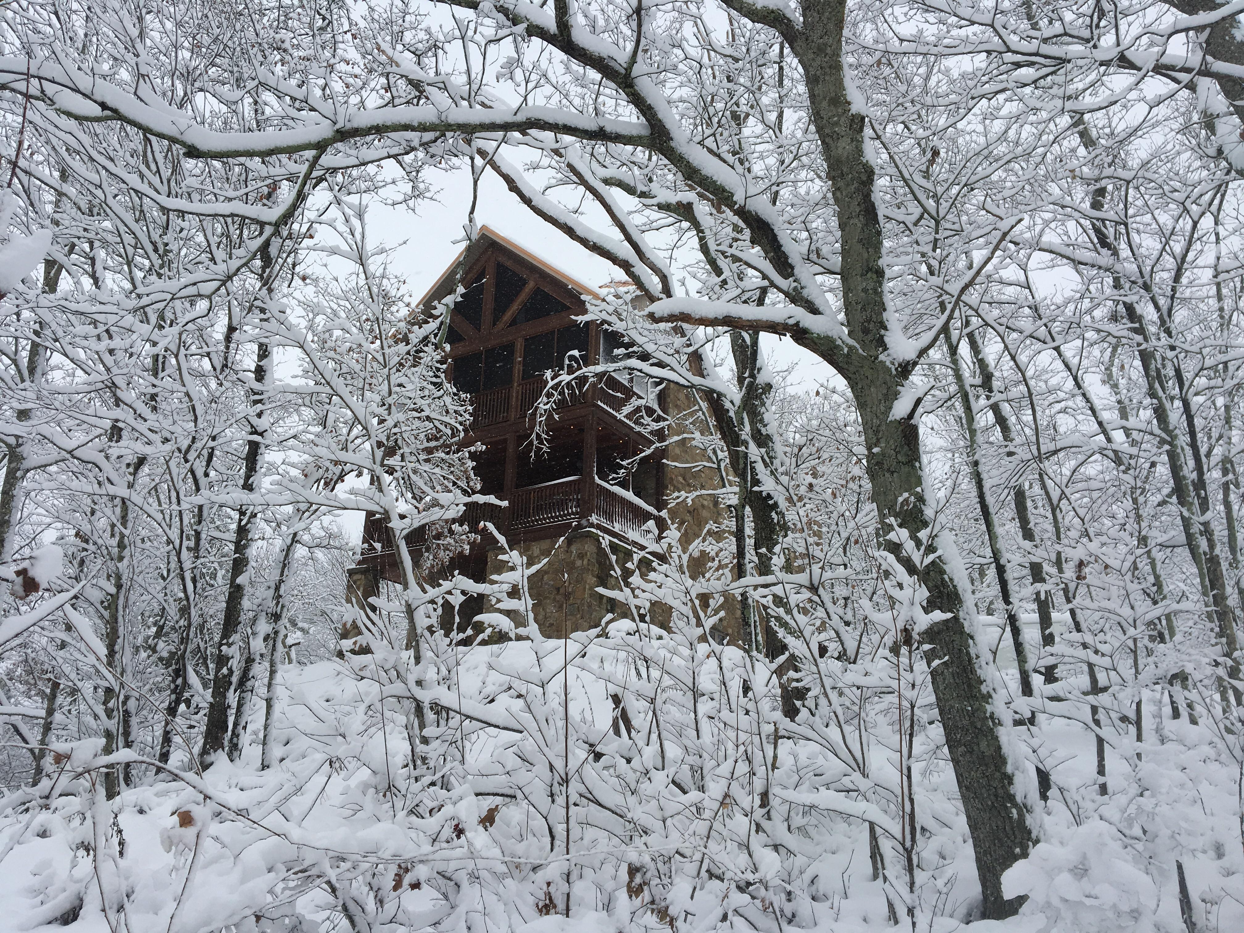 We got record snow last weekend in Alabama, I took this photo of our
