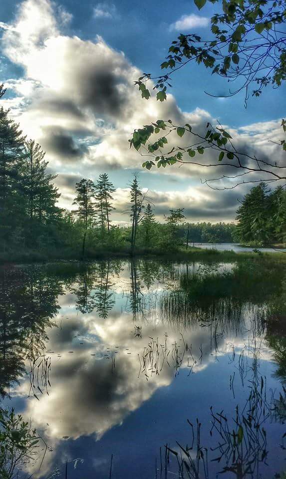 I've taken hundreds of photos from this exact spot in all types of