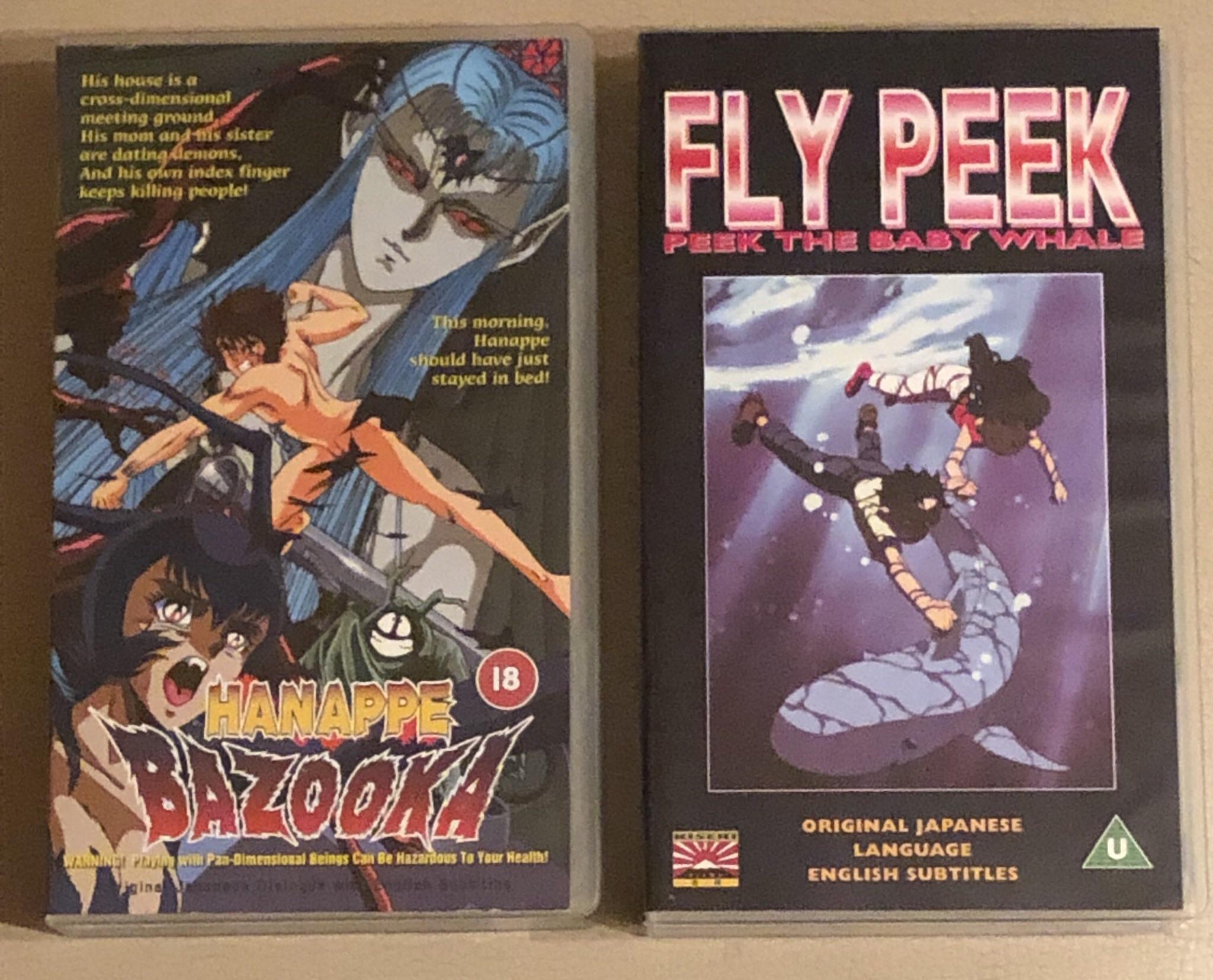 Beginning of my Anime collection r/VHS