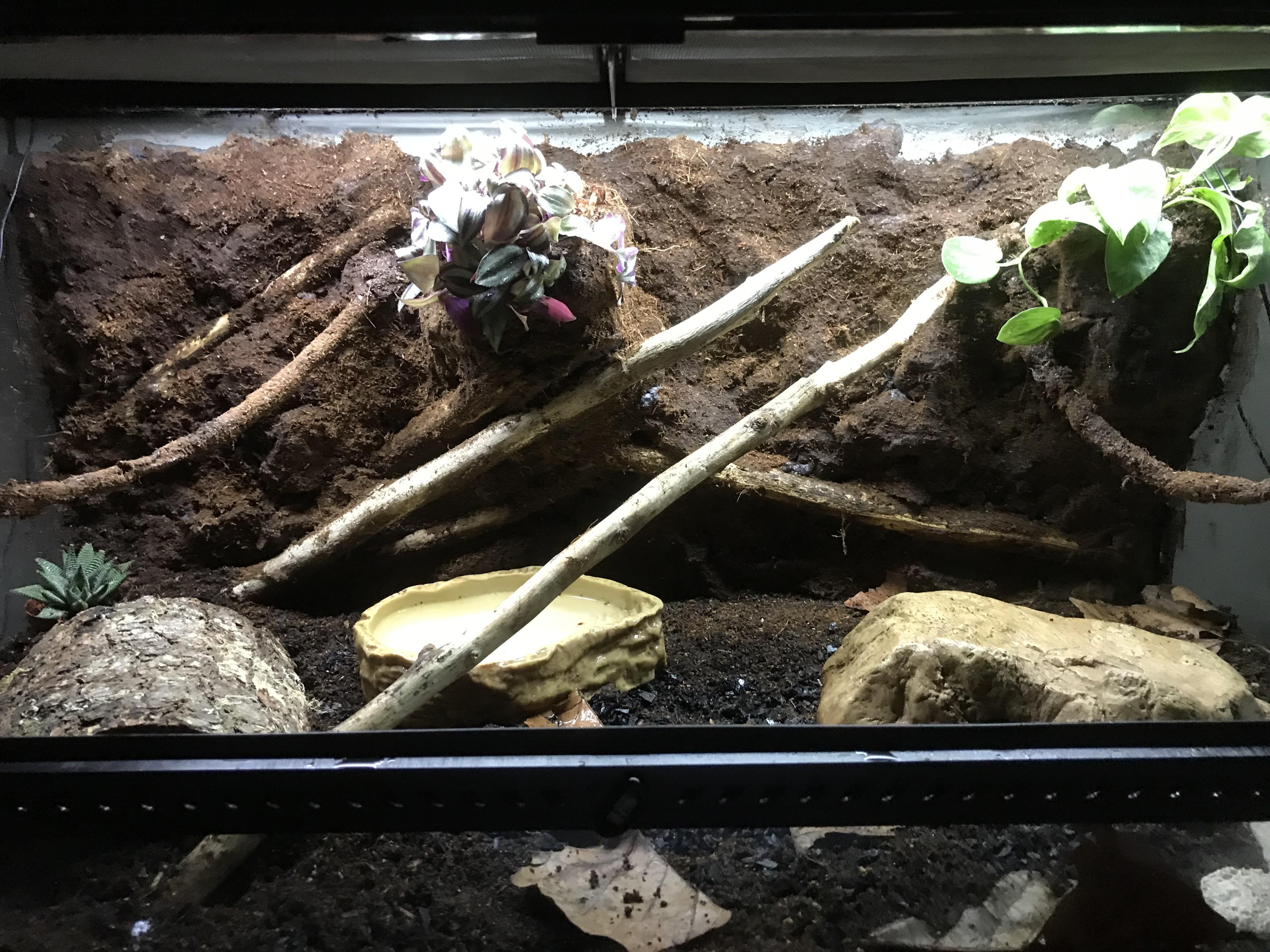 After many many hours, I’m finally finished my ball pythons new