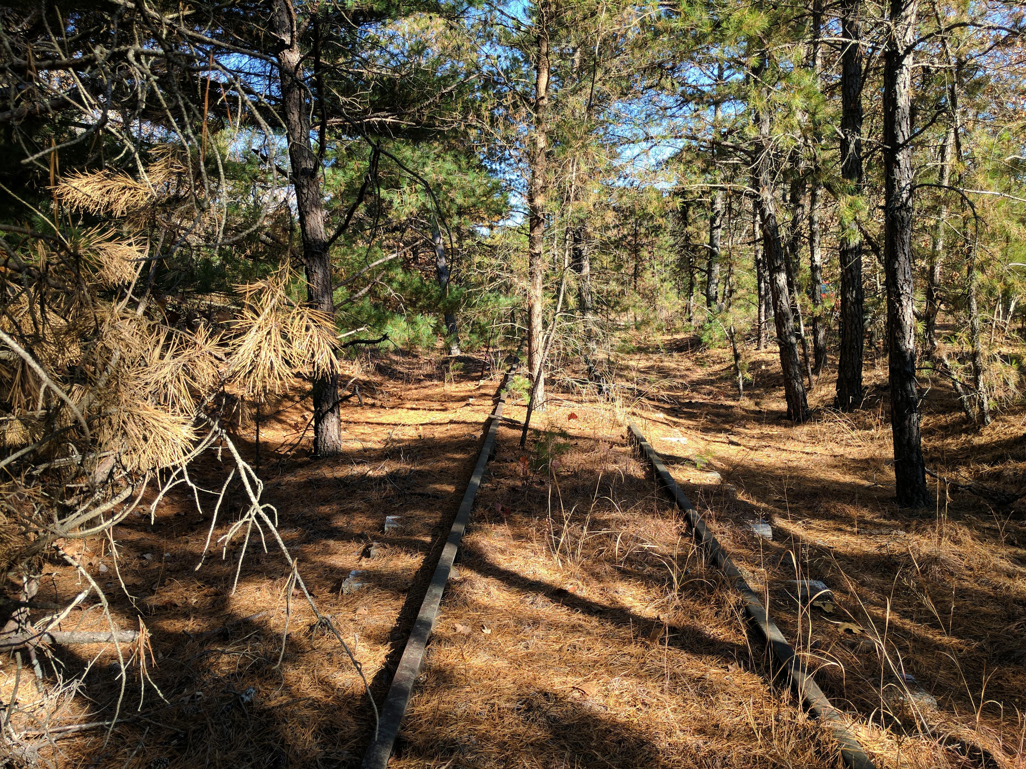 Abandoned a long time ago... Pine Barrens, NJ, USA [OC][4048x3036] r