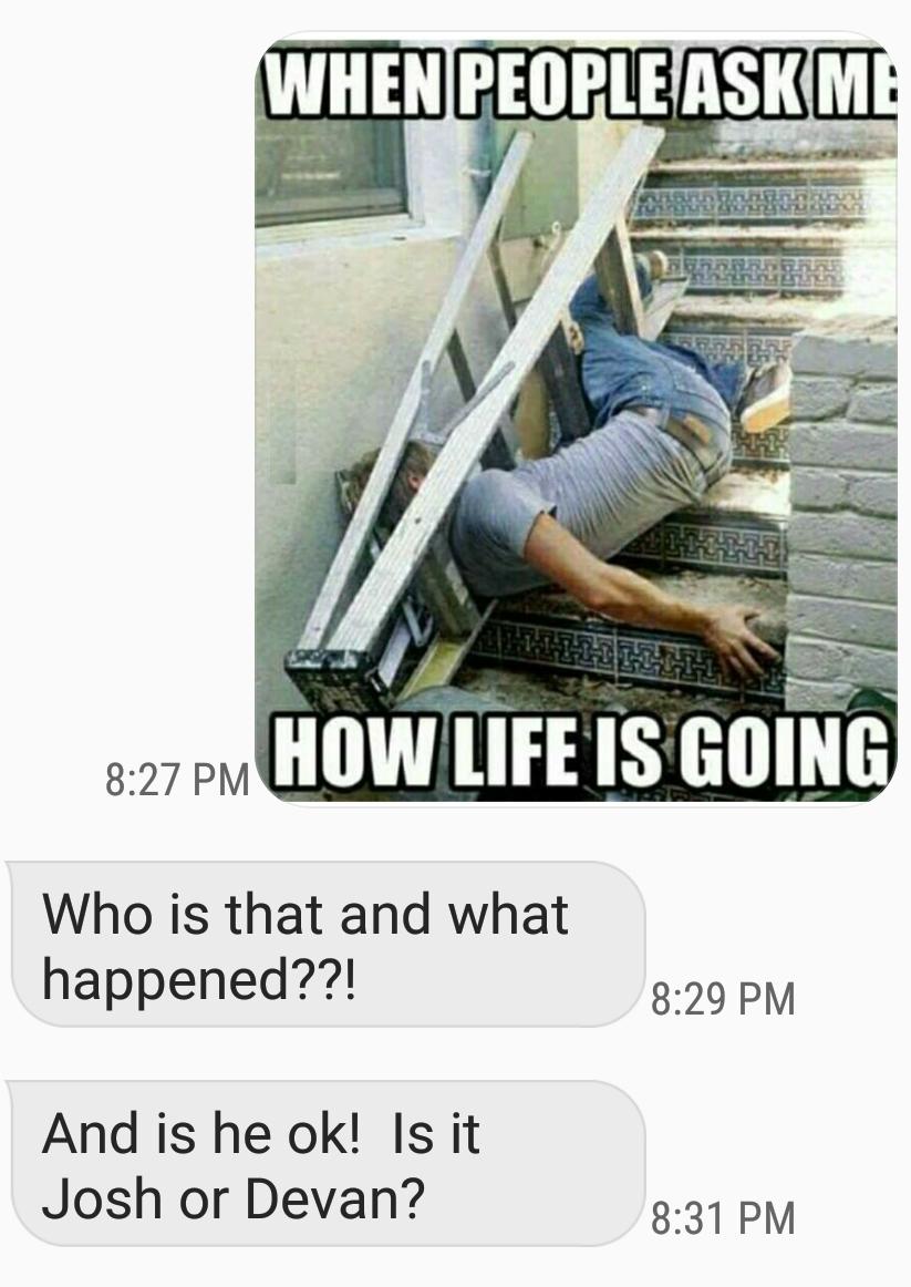 29 Life Alert Leg Day Meme Woolseygirls Meme