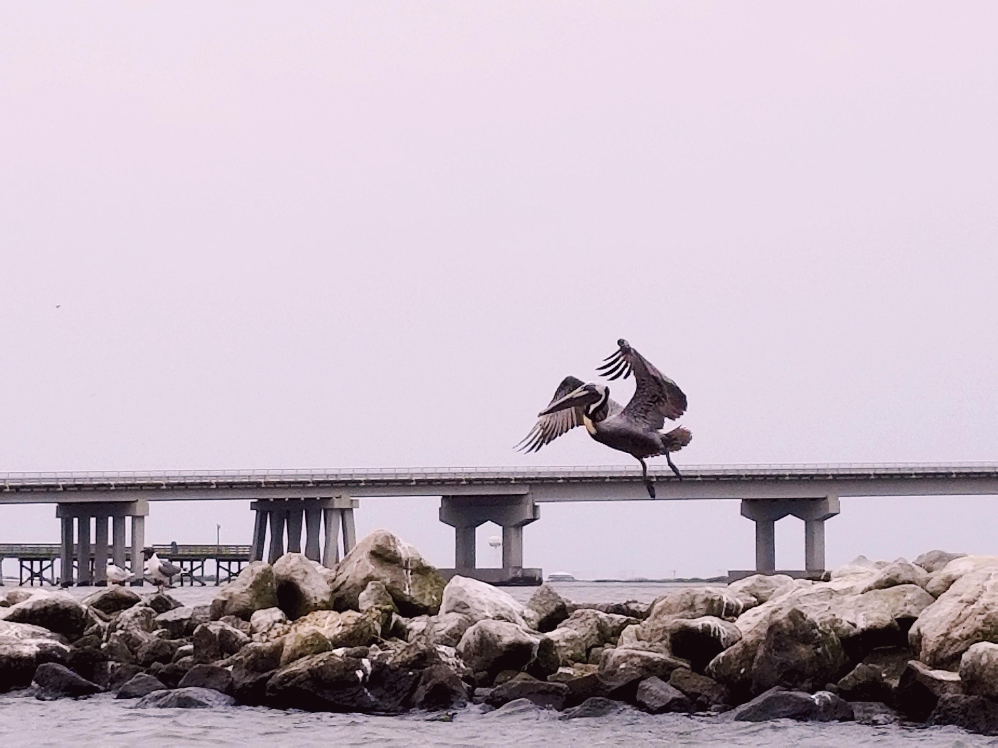 Kayaking in Grand Isle r/Louisiana