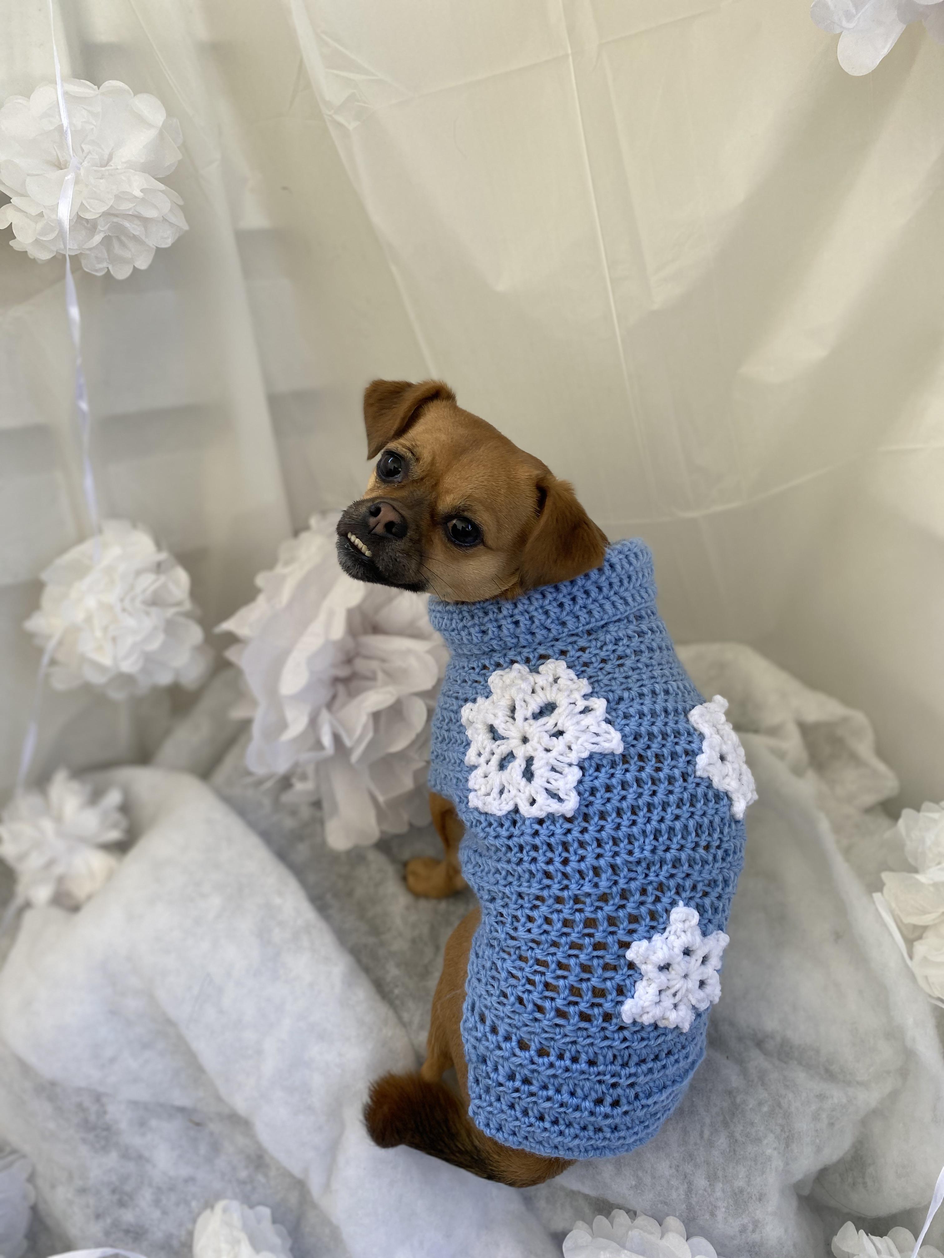 Crocheted a snowflake sweater for Winifred r/crochet