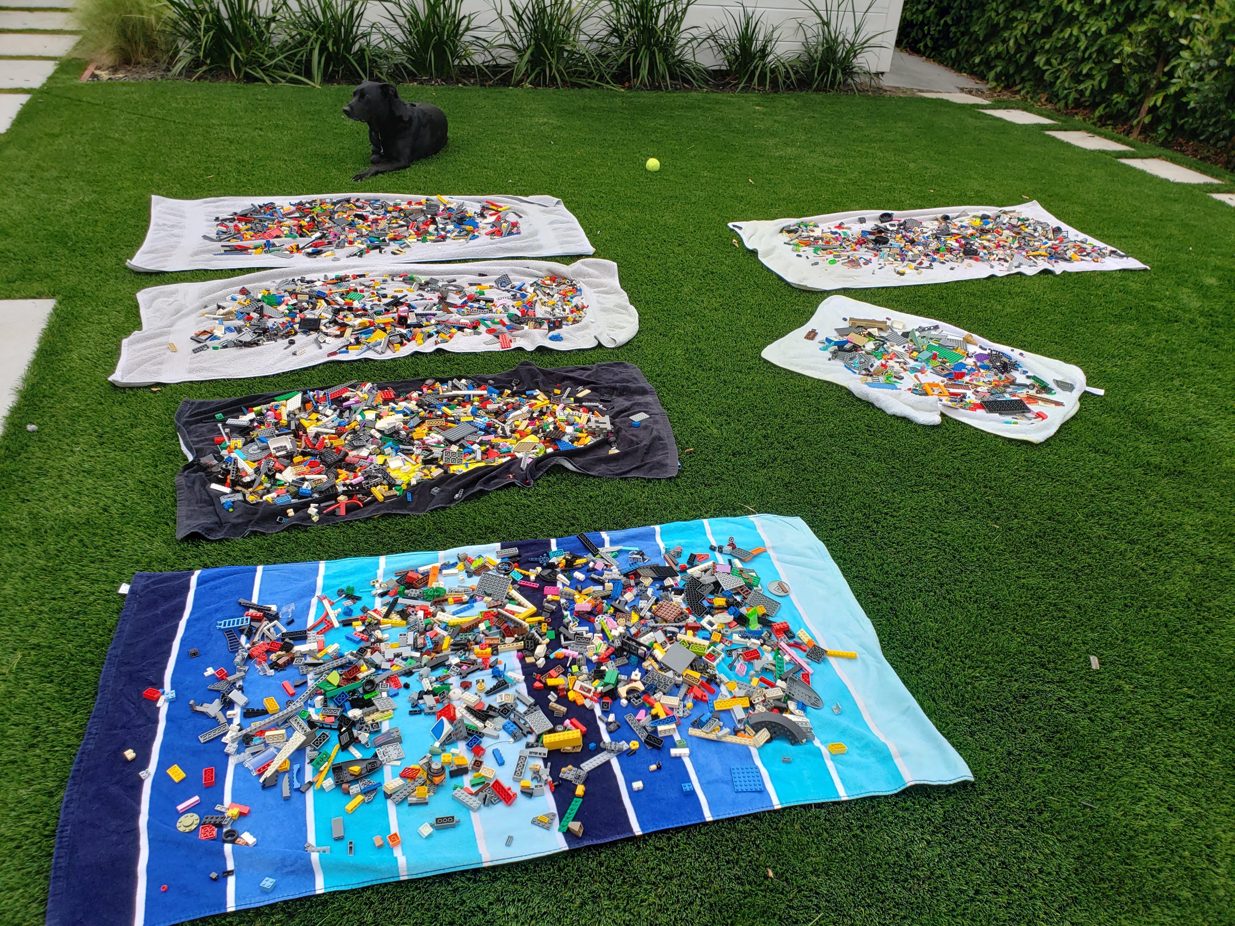 Quarantine Haul! Washed, drying, and ready for sorting! r/lego