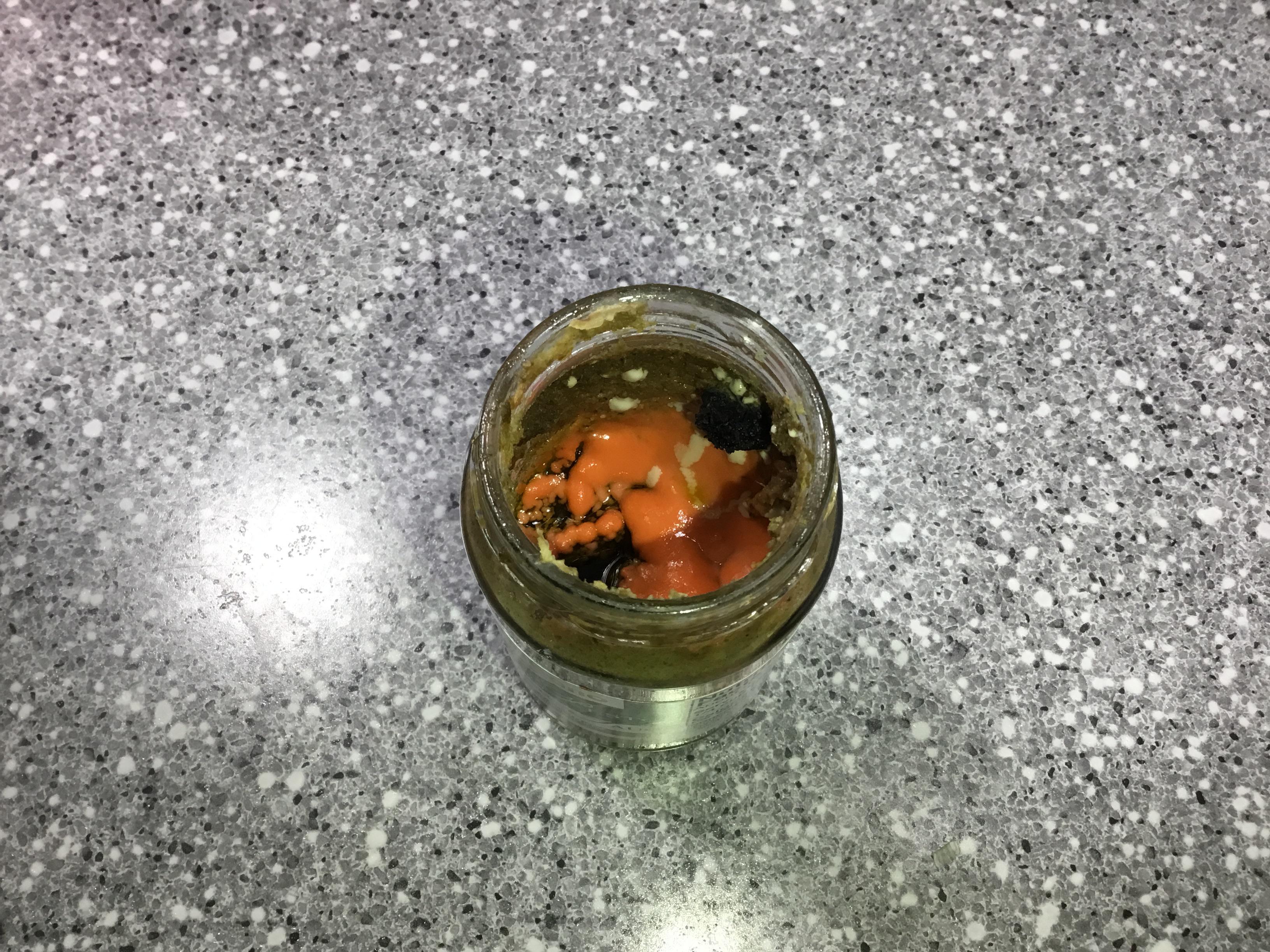 3 different molds in my refrigerated pesto sauce thats over a year away