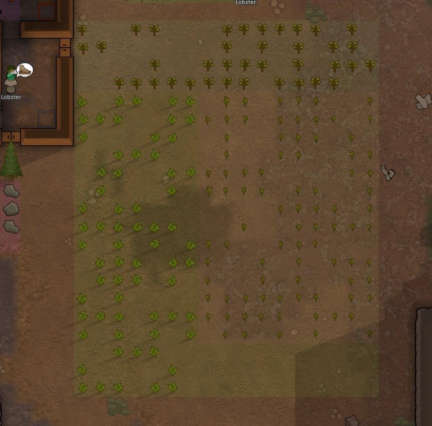 Is there any way to save crops over winter? r/RimWorld