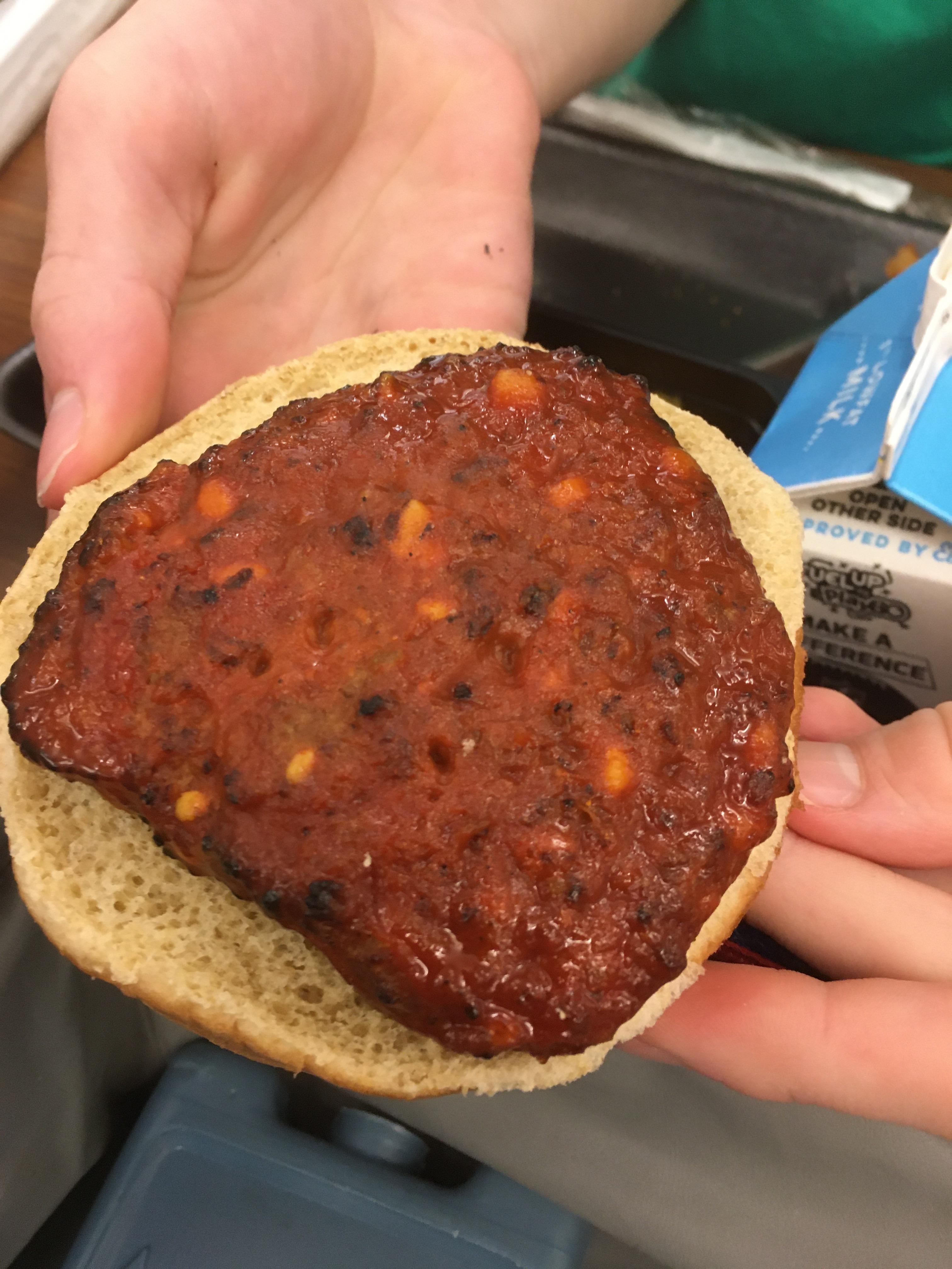 School lunch is a beautiful thing. Reallife mystery meat! r/pics