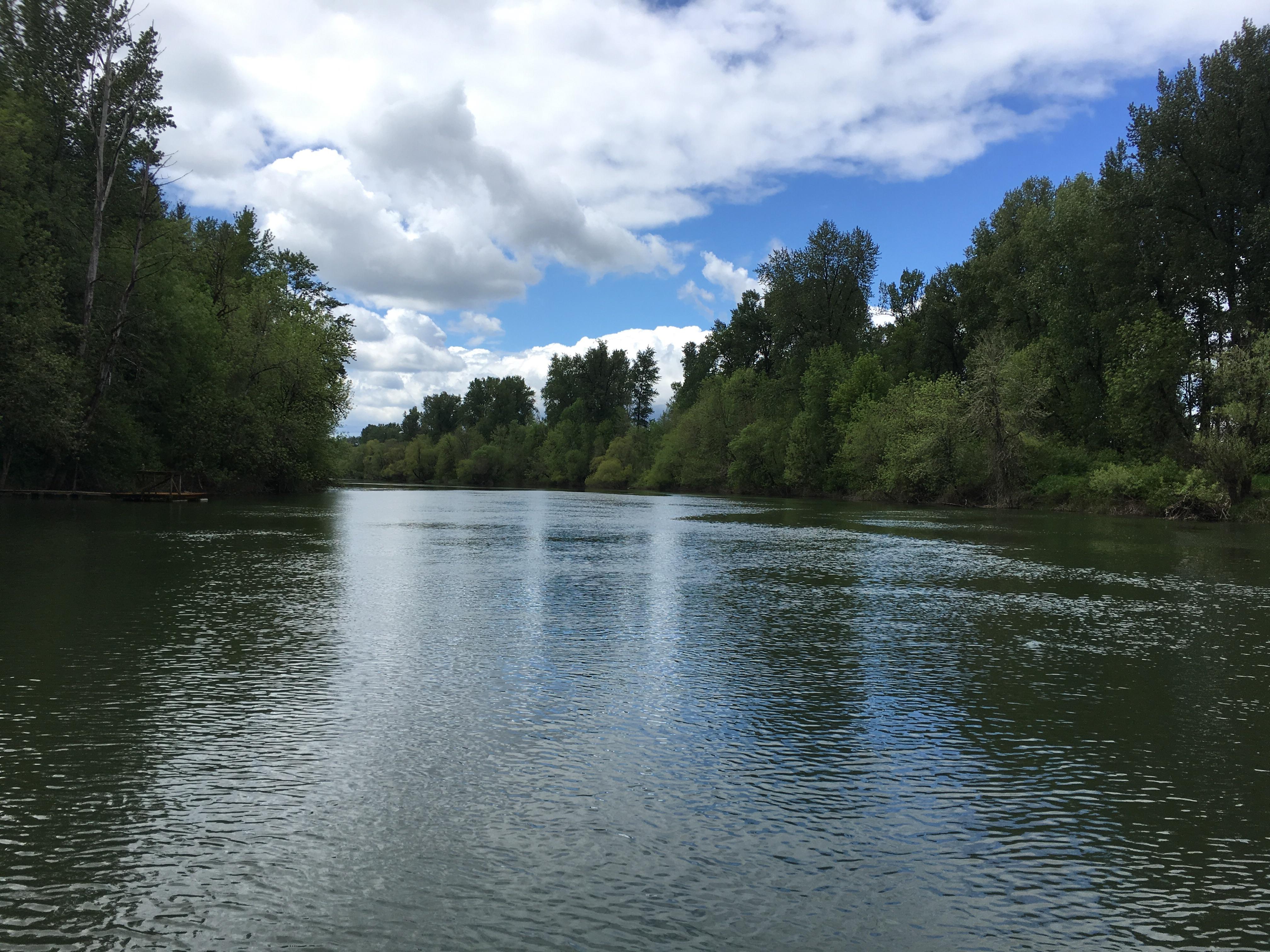 Willamette River r/oregon