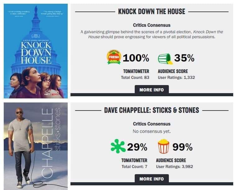 Critics vs Audience r/ExpectationVsReality