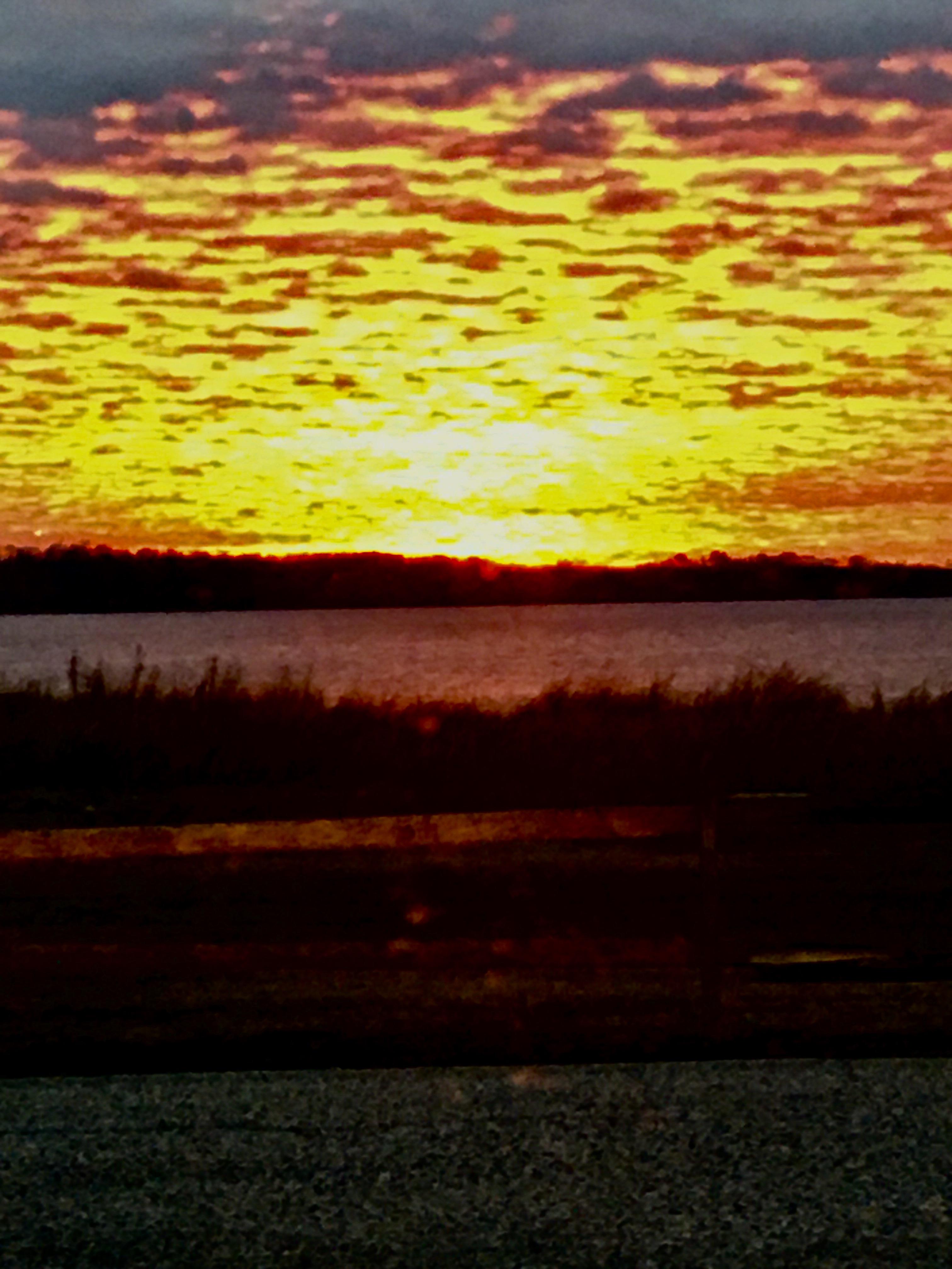 Broomes Island this morning r/maryland