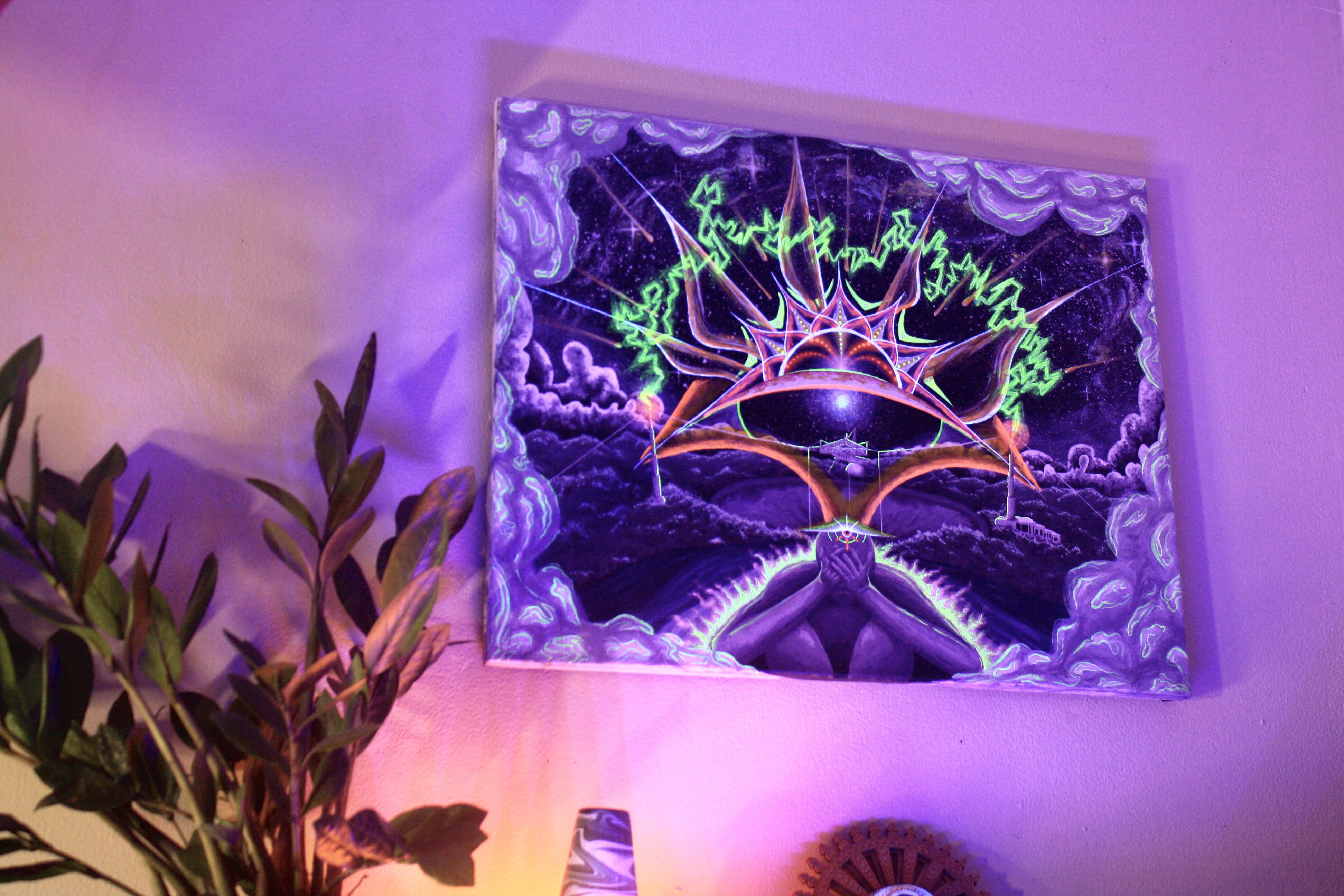 Painting I recently finished under blacklight “Arecibo’s Message” 💫 r/psychedelicartwork