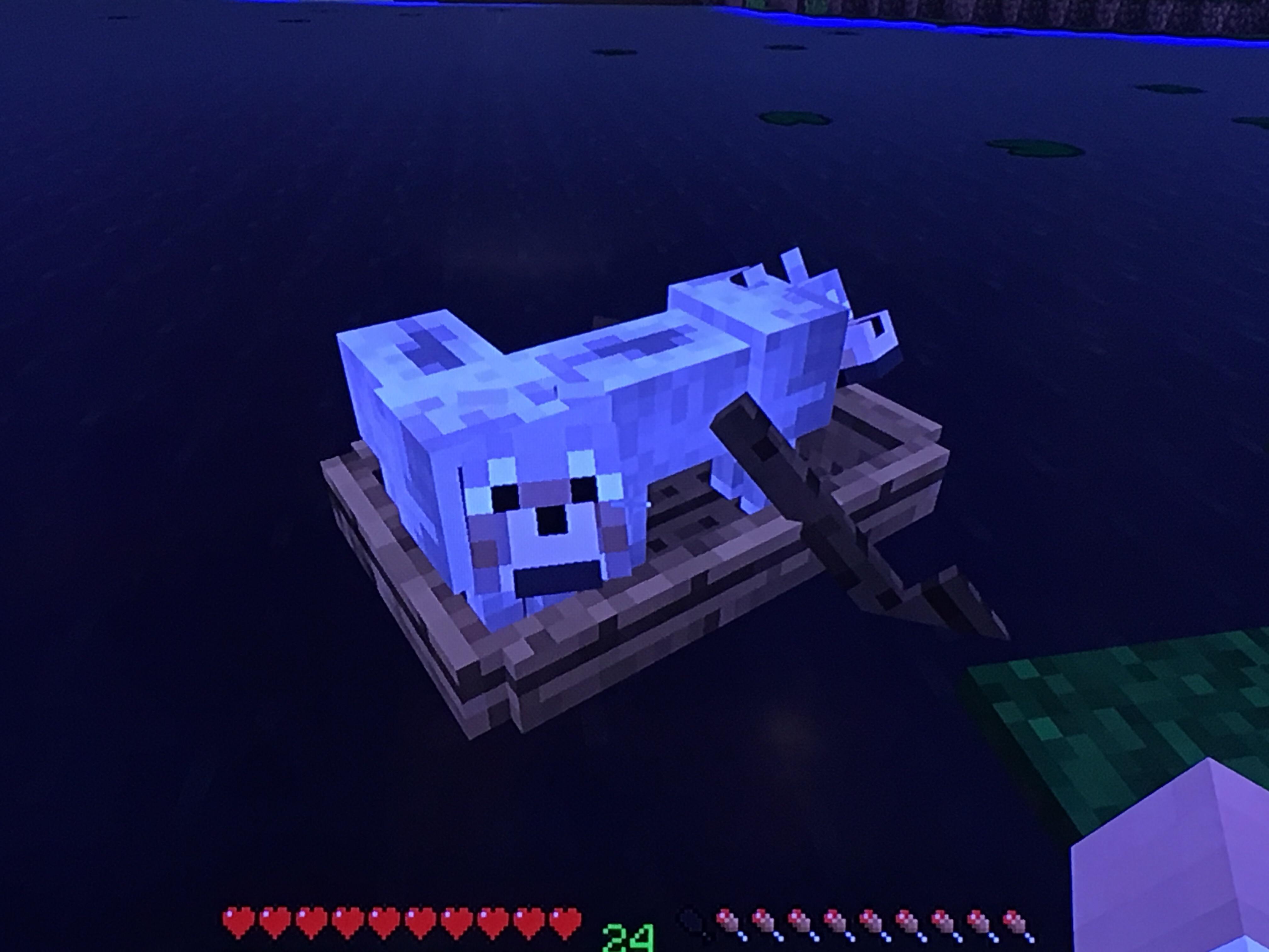 Uh, can anybody explain this? I found two wolves in a boat close to my town. I’m the only one