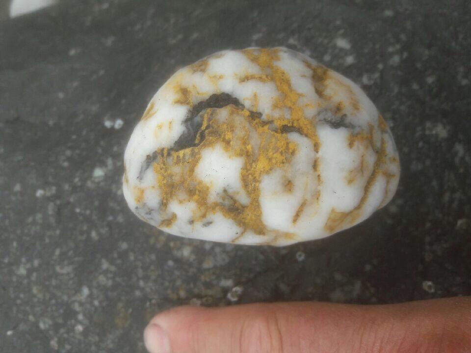 Found on the beach in Washington, pretty sure this is gold in quartz
