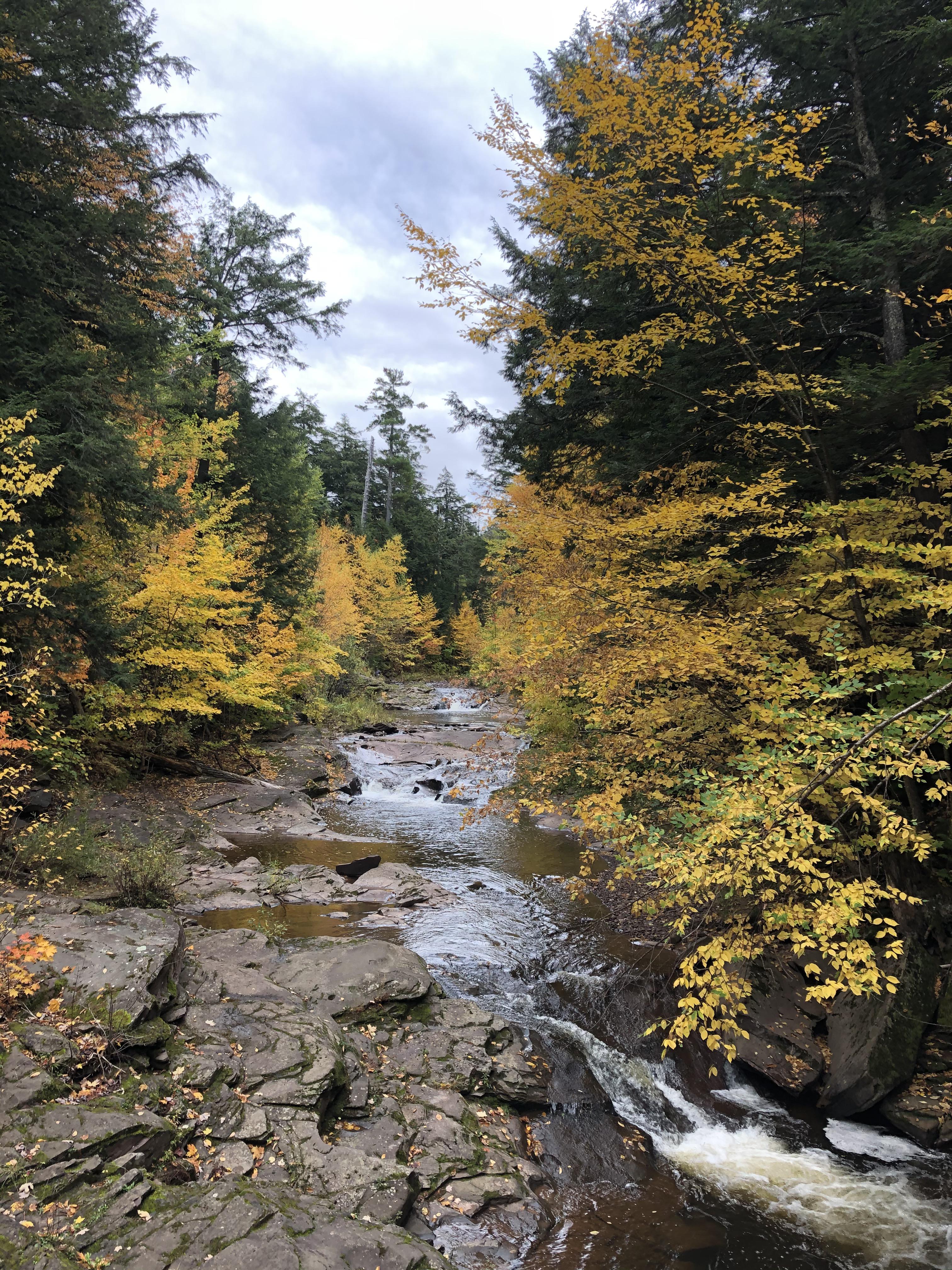 A beautiful picture from the Porcupine Mountains in Michigan r/Outdoors