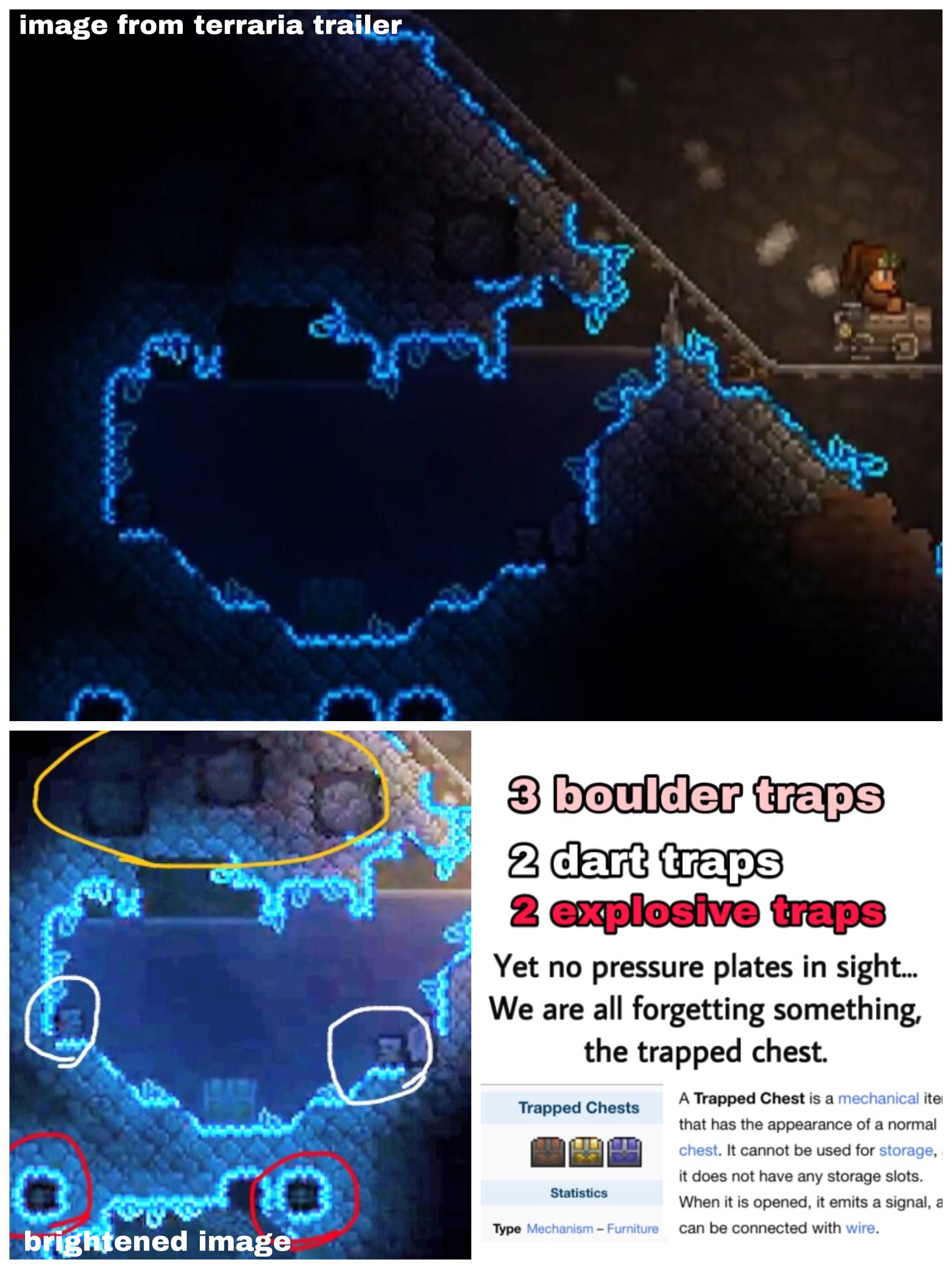 New Trapped Chest trap. Finally this item has a use. r/Terraria