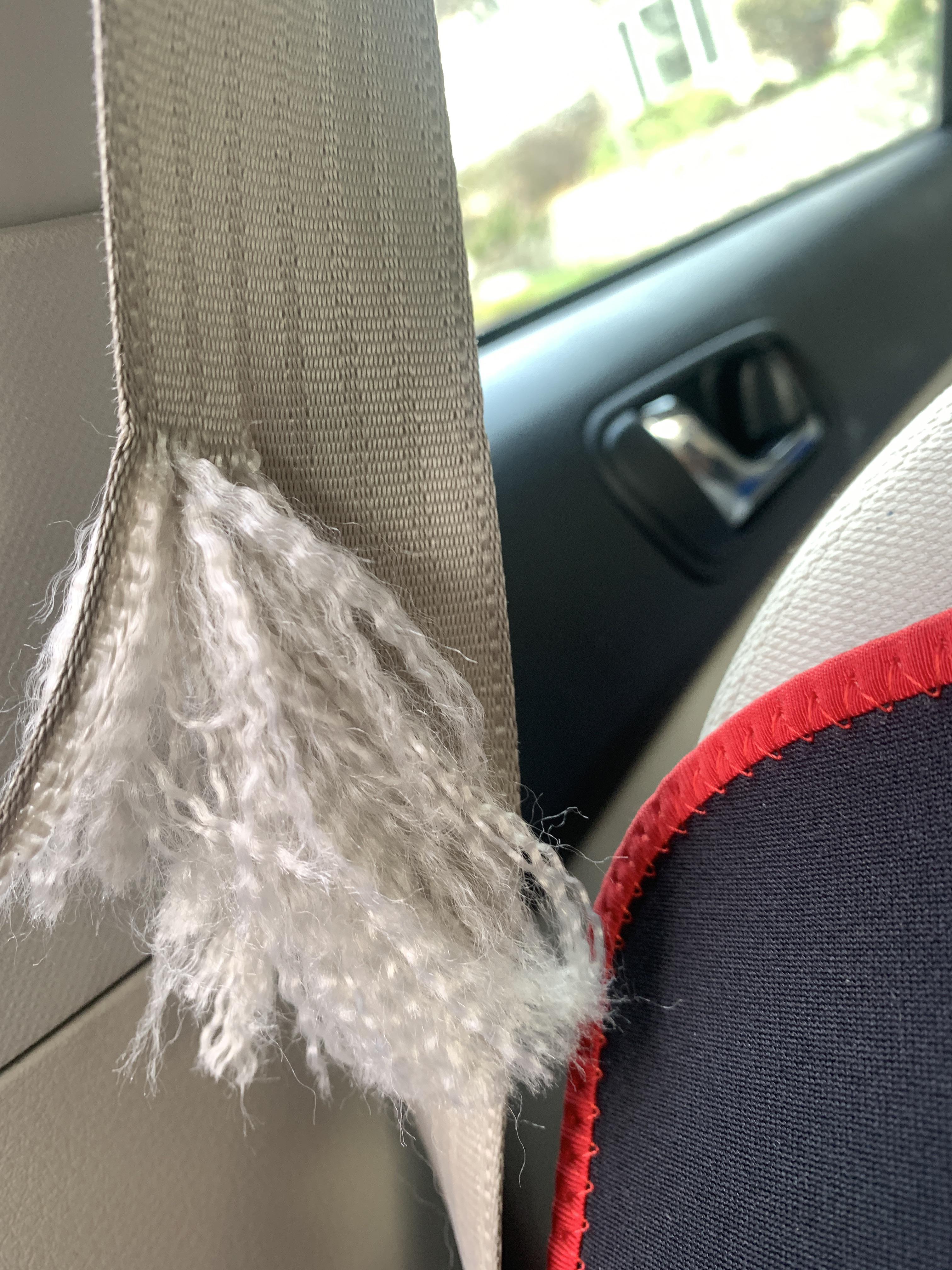 Passenger seat belt ripped half across the width, how? My Subaru 2012