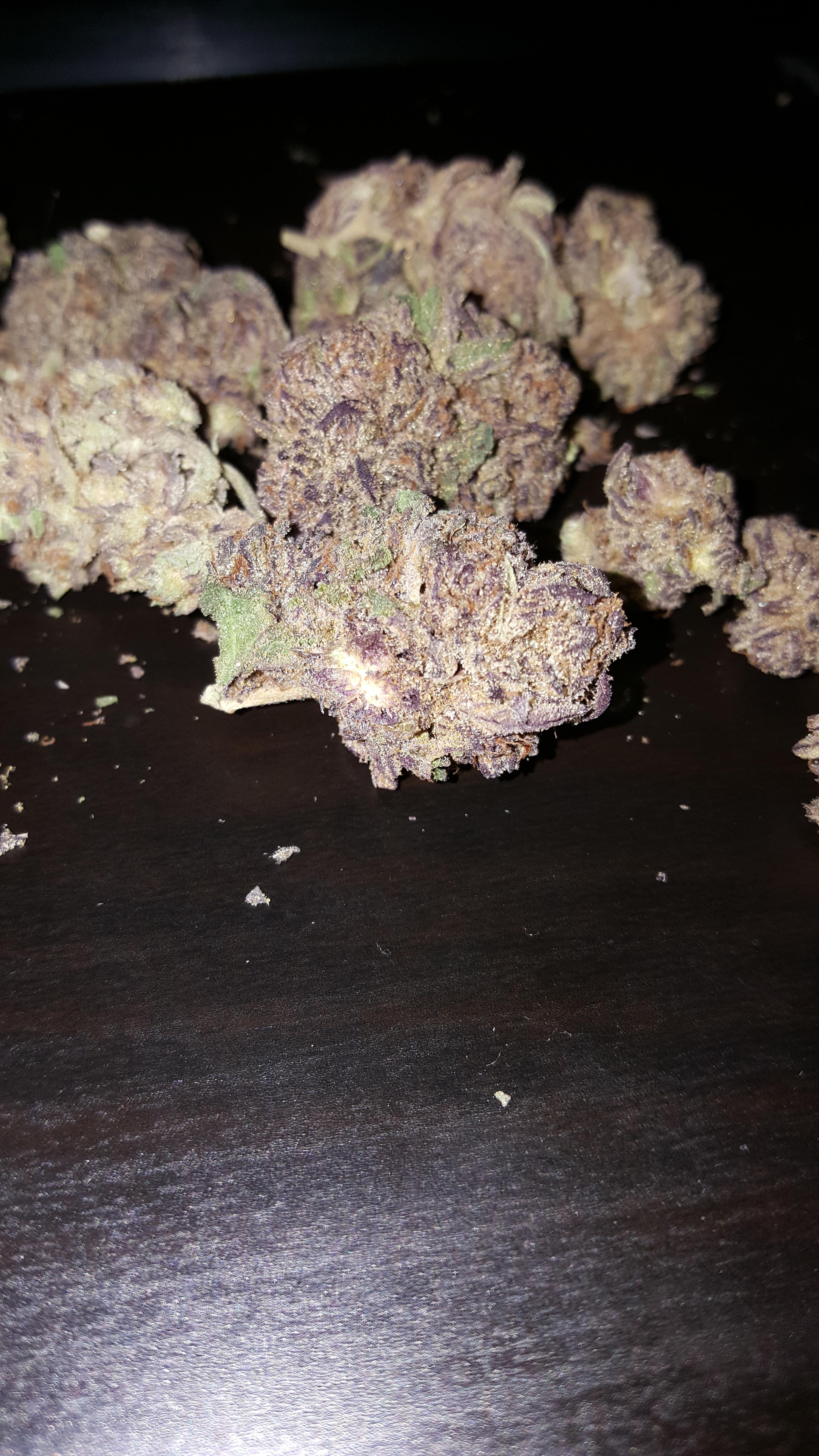 Las vegas purple kush X Gorilla glue 100 14 Gs with discount (50