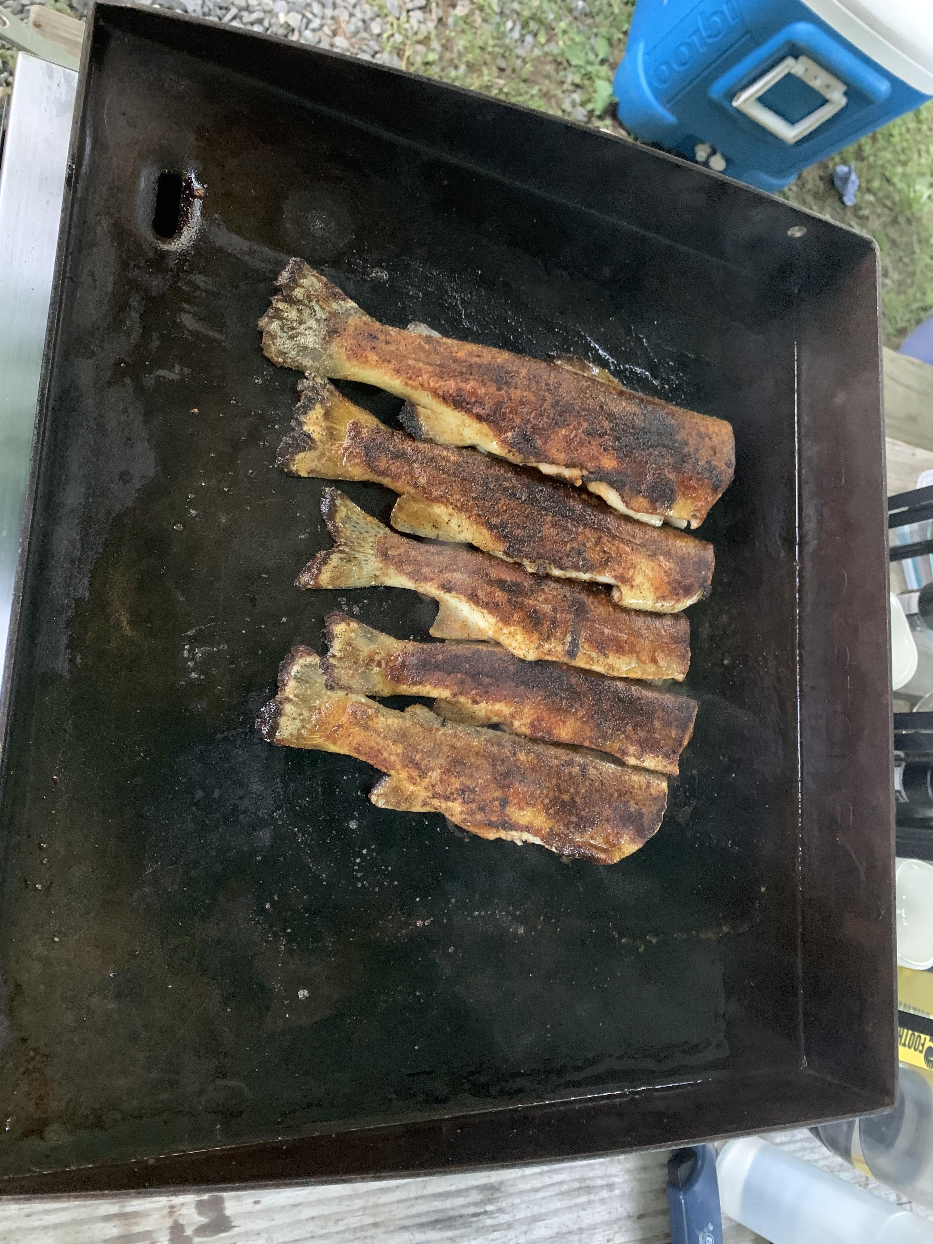 Blacken trout on the grill in Almond NC r/Fishing