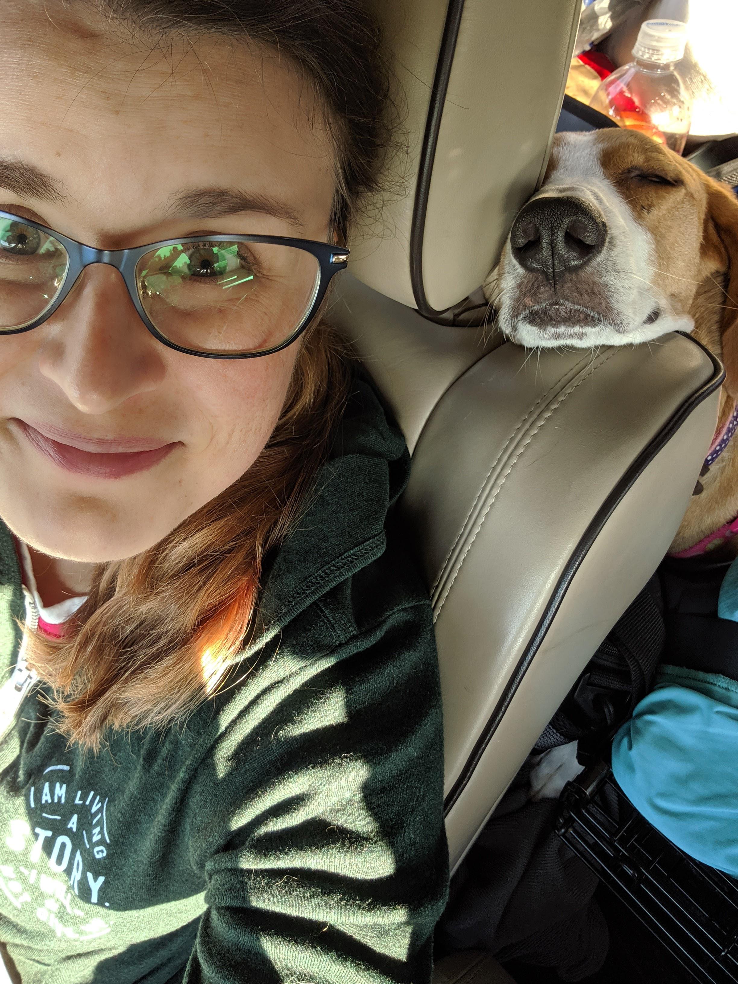 My dog hates the car unless she's really close to me, so she would only