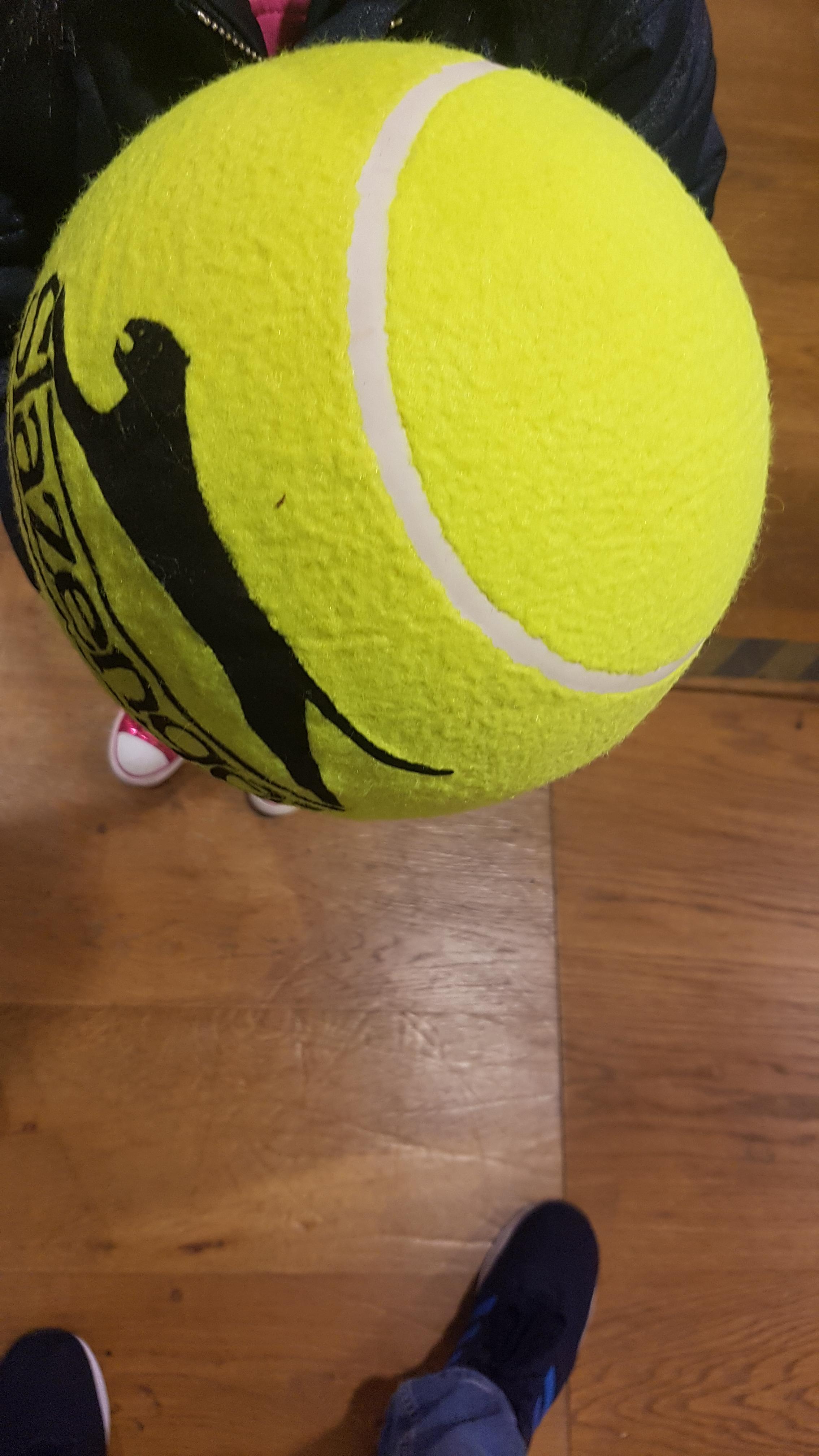 What Is this? A tennis ball for giants?