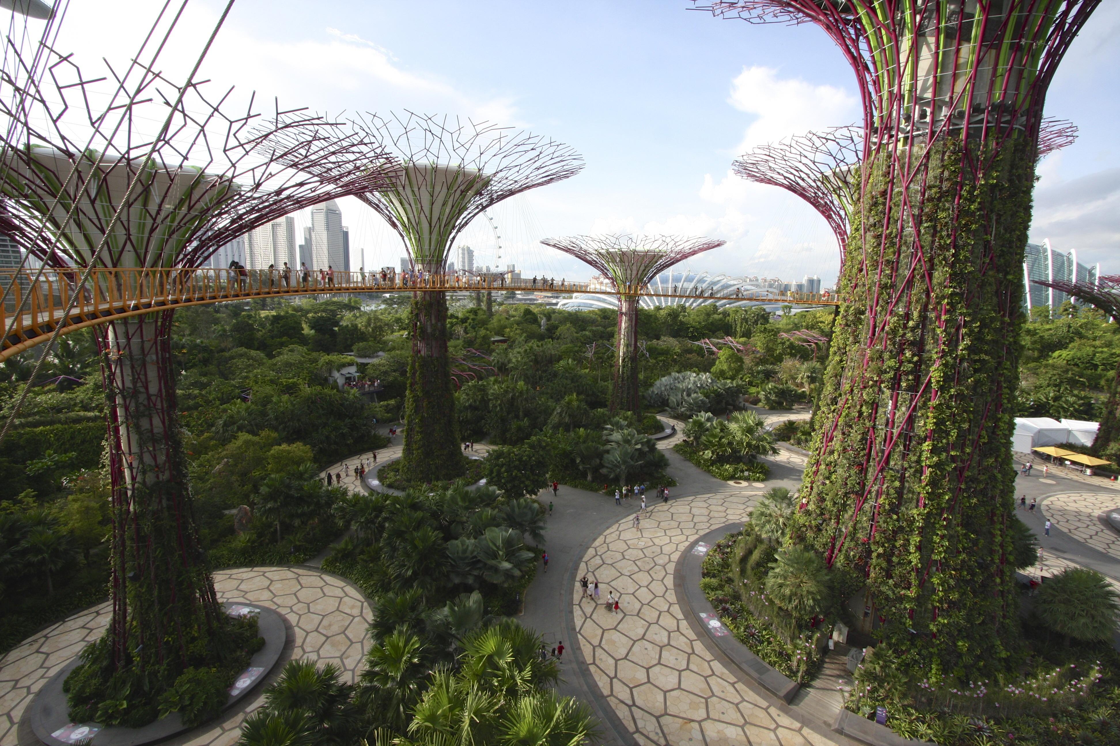 Gardens By The Bay Singapore interestingasfuck