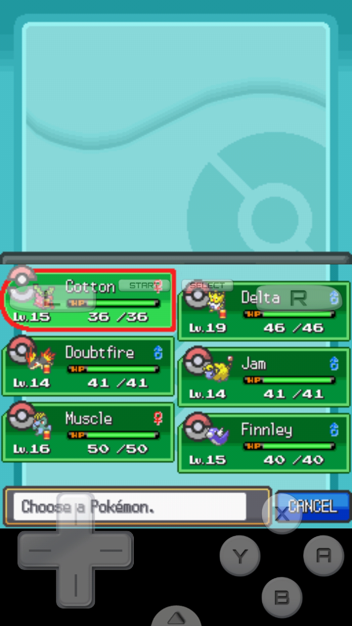 Team comp in HeartGold currently r/nuzlocke