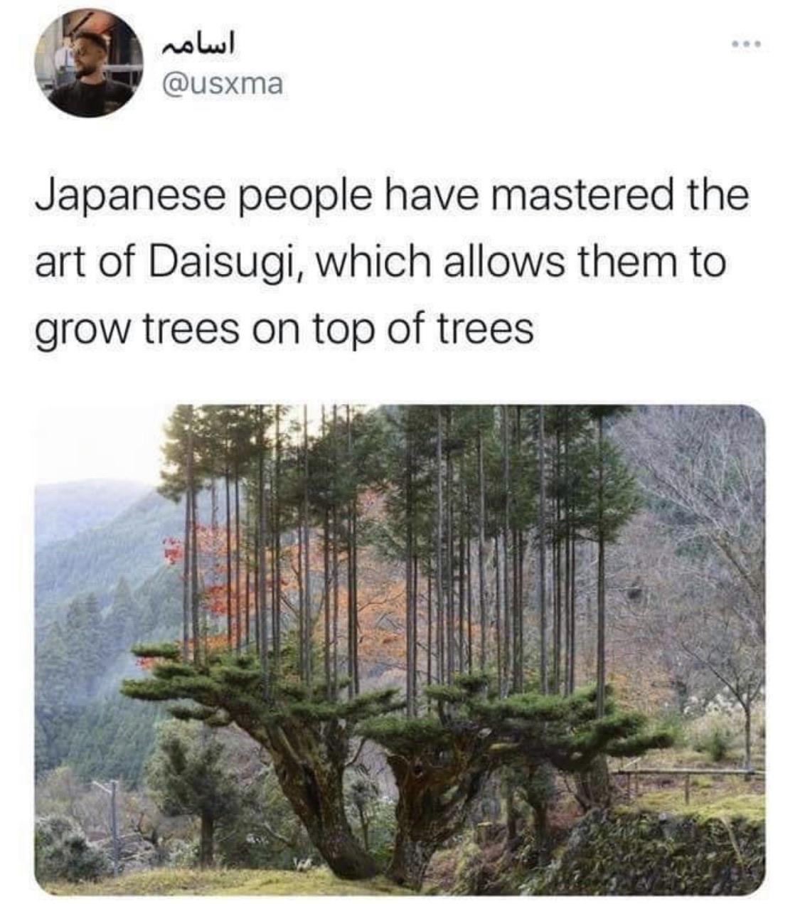 🔥 TIL you can grow trees on top of trees. r/NatureIsFuckingLit