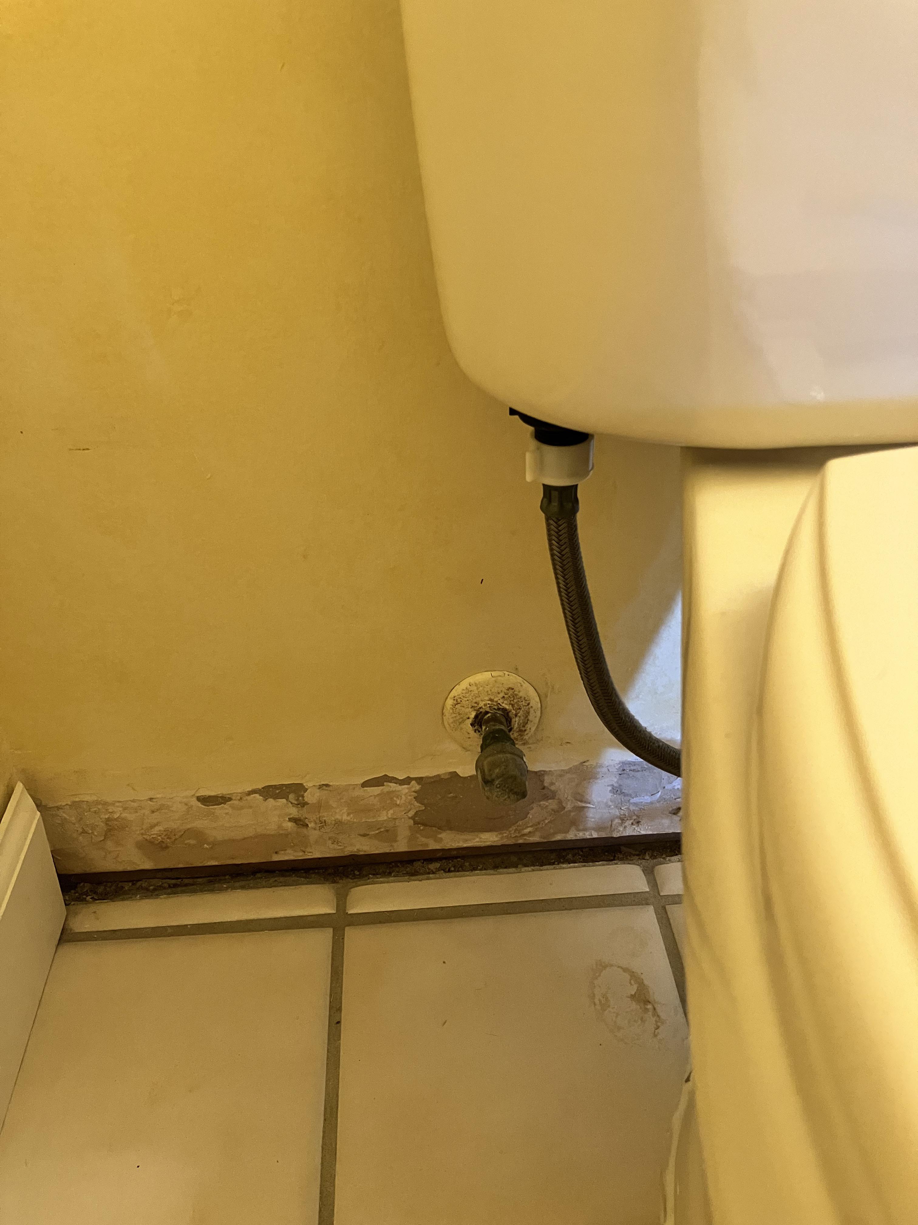 Does anyone know why this water line would be capped off? Toilet line