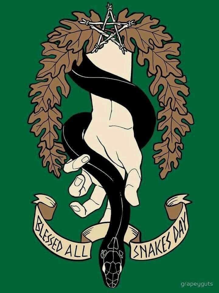 Today I learn that St Patrick, who is credited with driving the snakes