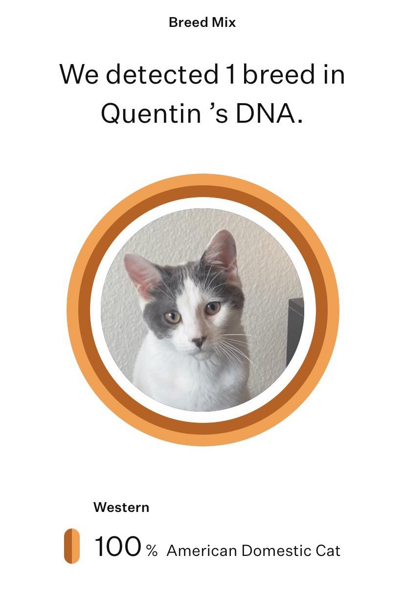 Orivet Pet Care, 54 OFF