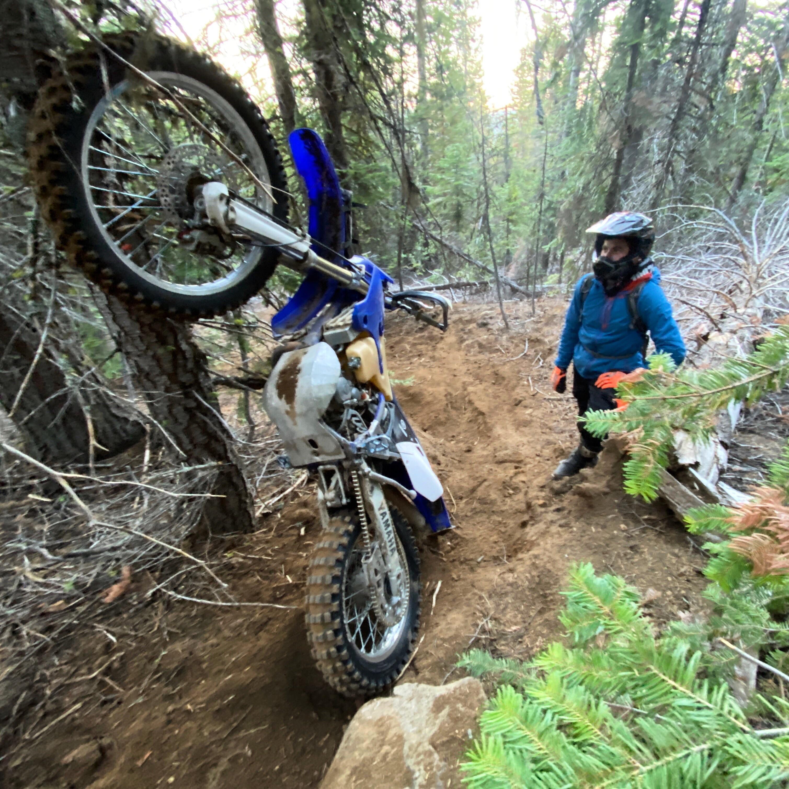 408 best Riding Buddy images on Pholder Motorcycles, Dirtbikes and